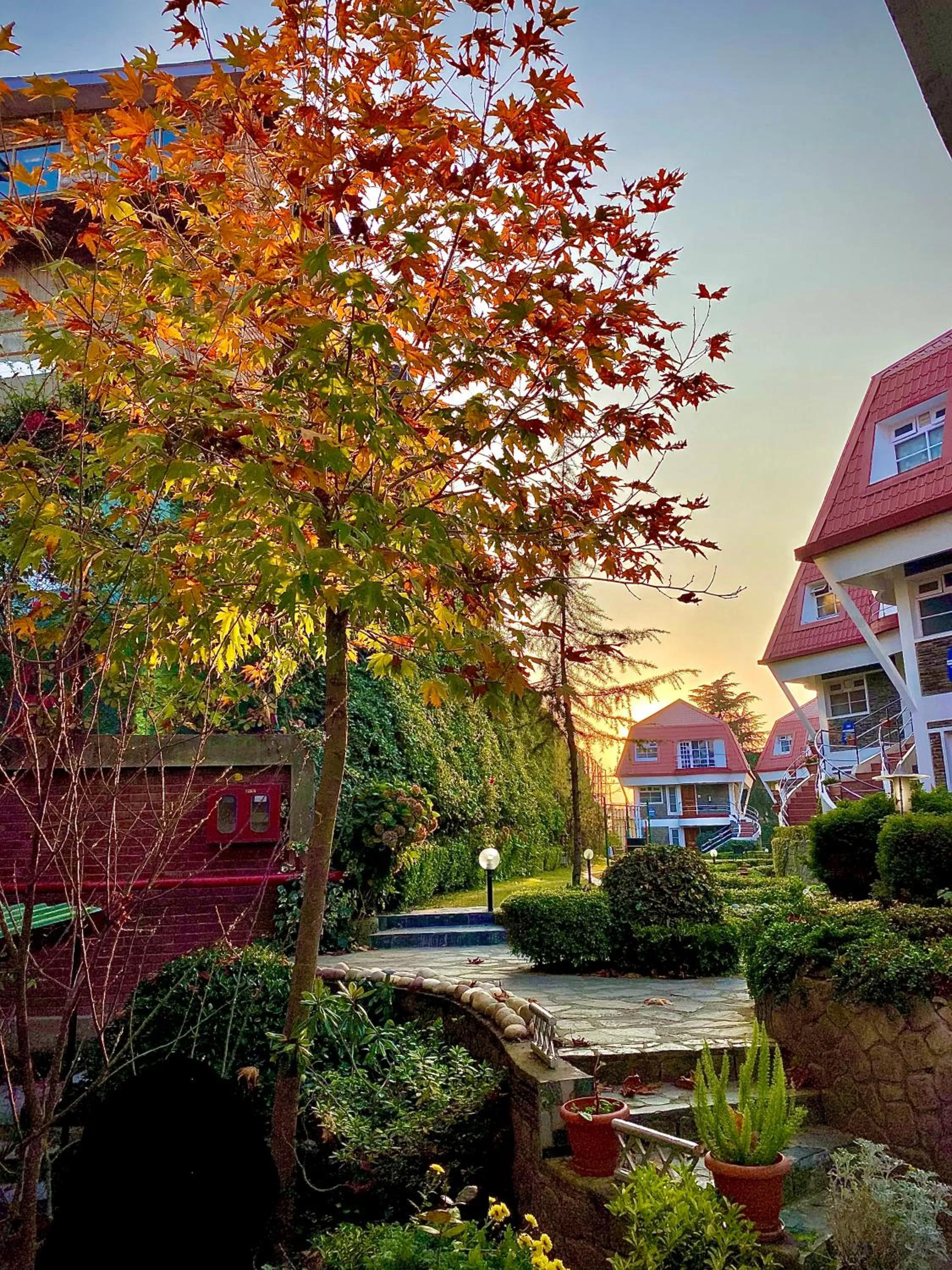 Property building in Marigold Sarovar Portico Shimla