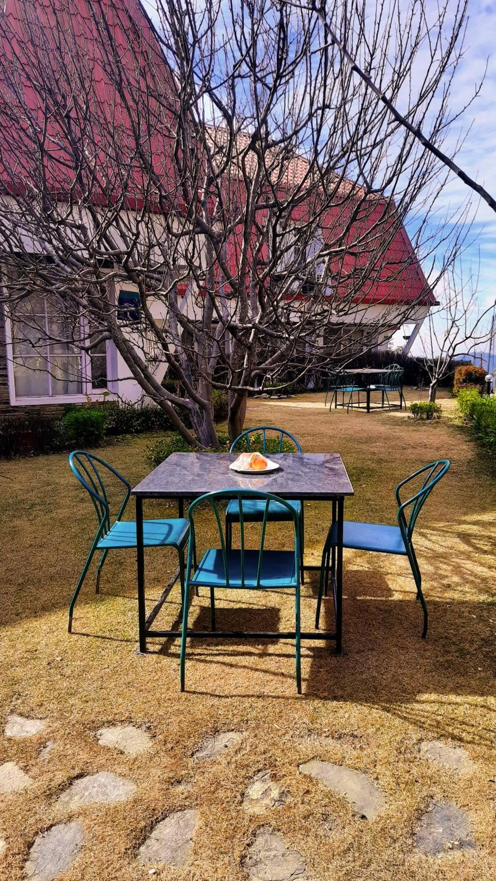 Garden in Marigold Sarovar Portico Shimla