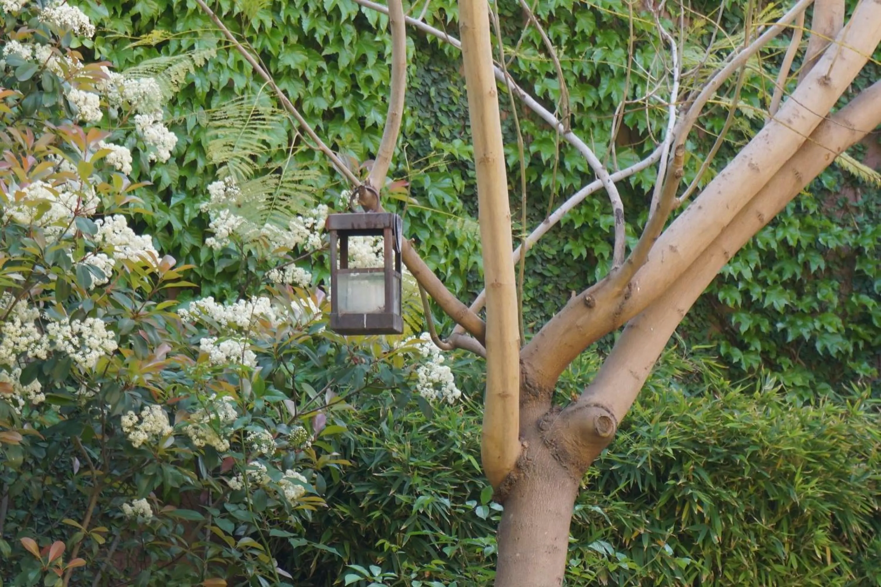 Decorative detail in Casa Lila