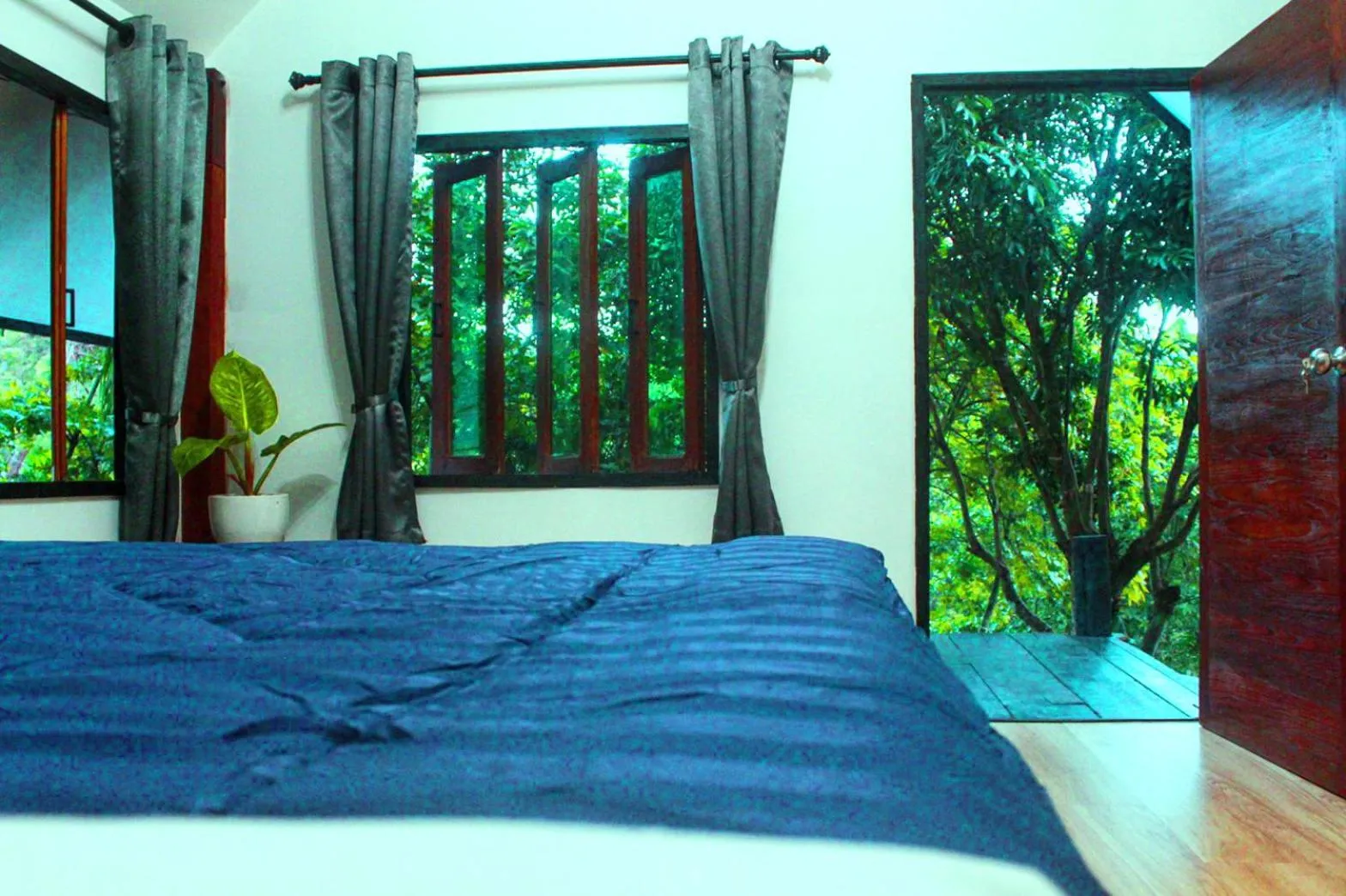 Bed in Jungle guest house