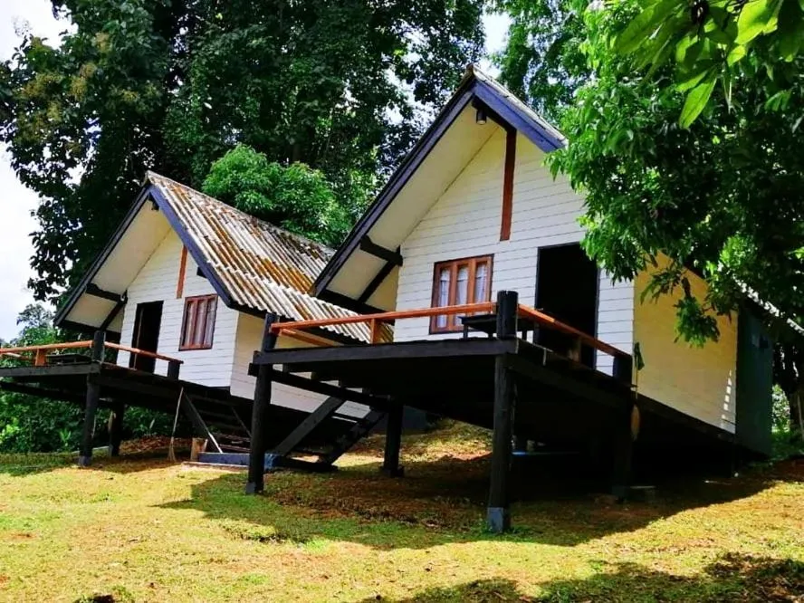 Property building in Jungle guest house