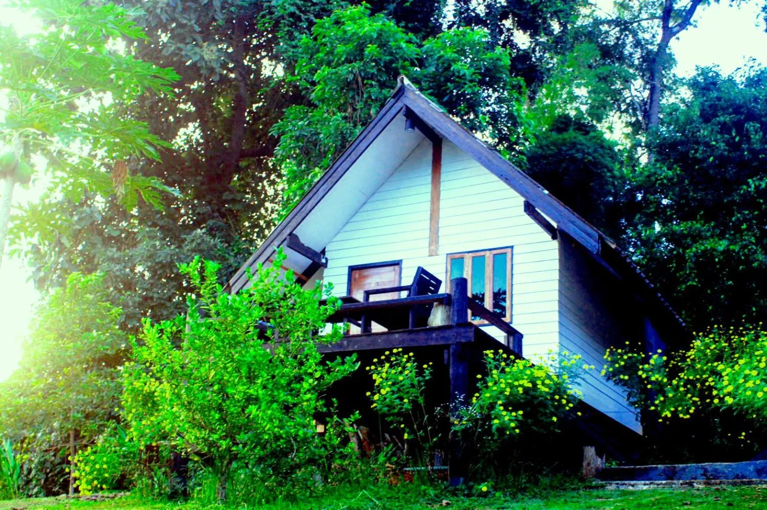 Jungle guest house