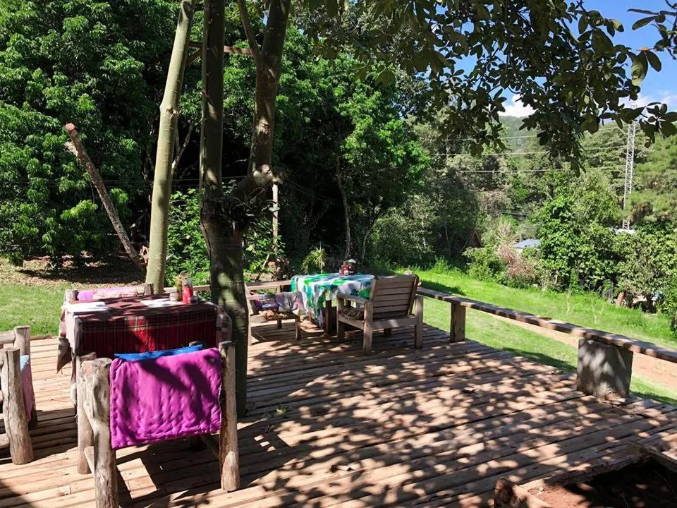 Restaurant/places to eat in Jungle guest house