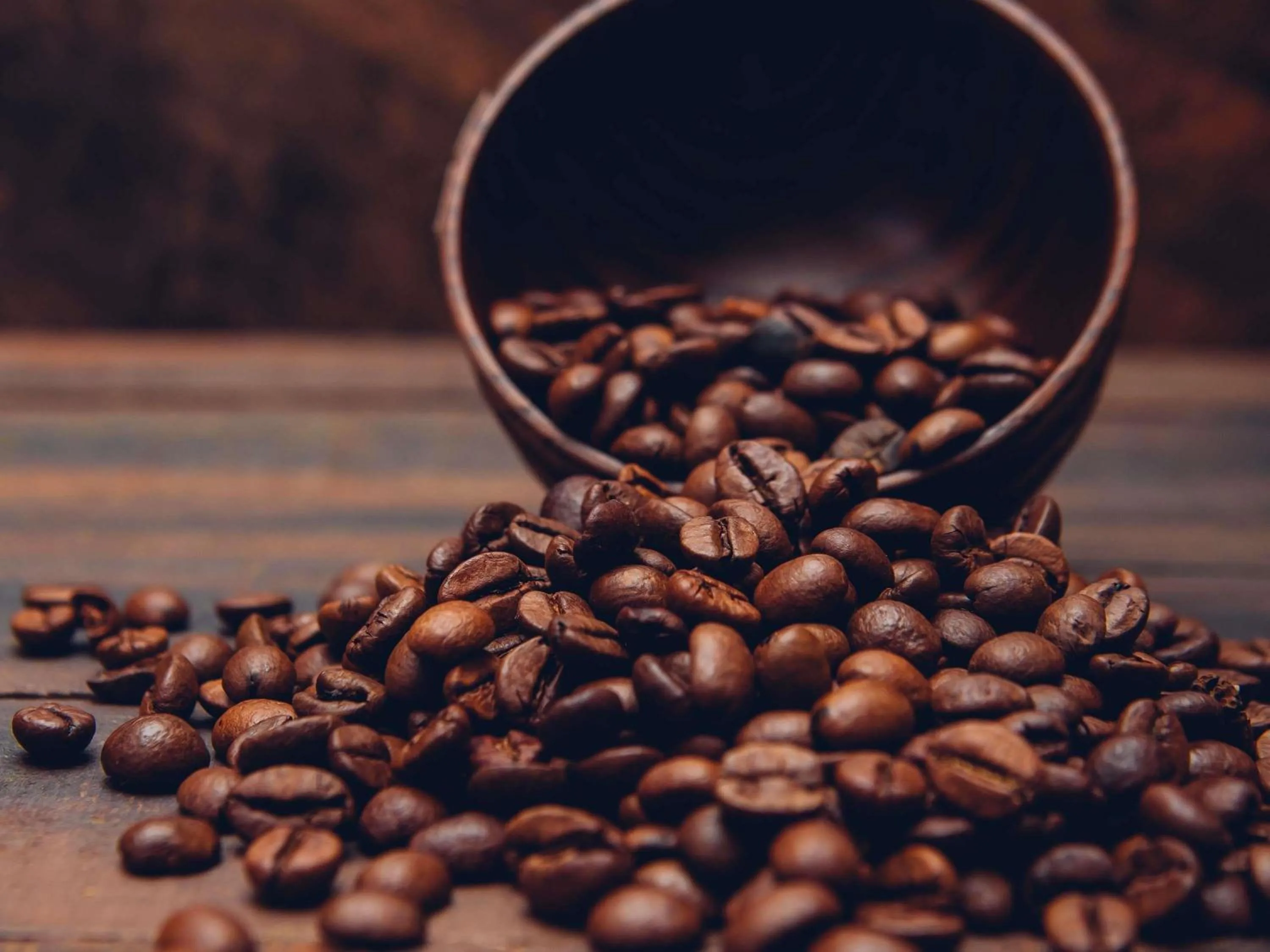 Lounge or bar in ibis Styles Béziers Centre