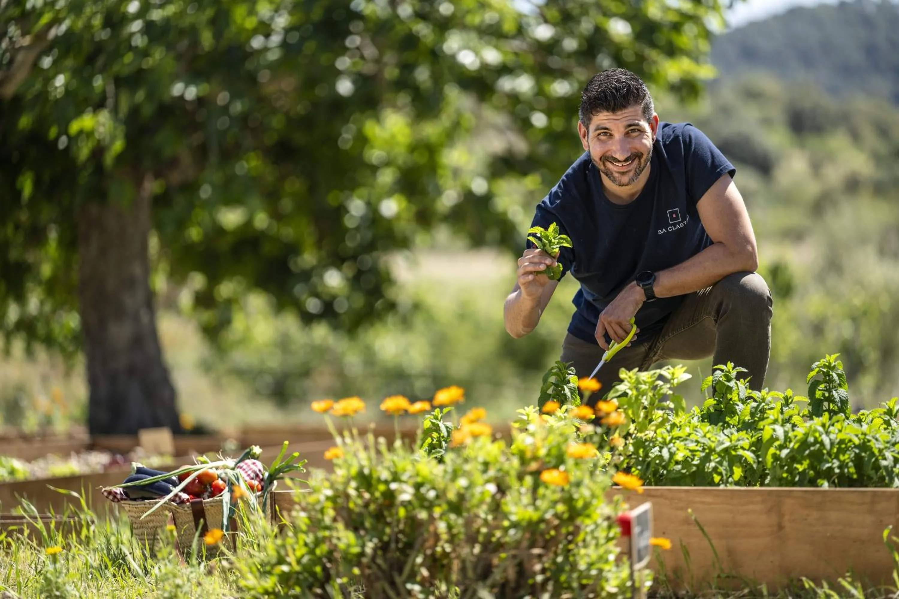 Restaurant/places to eat in Castell Son Claret - The Leading Hotels of the World