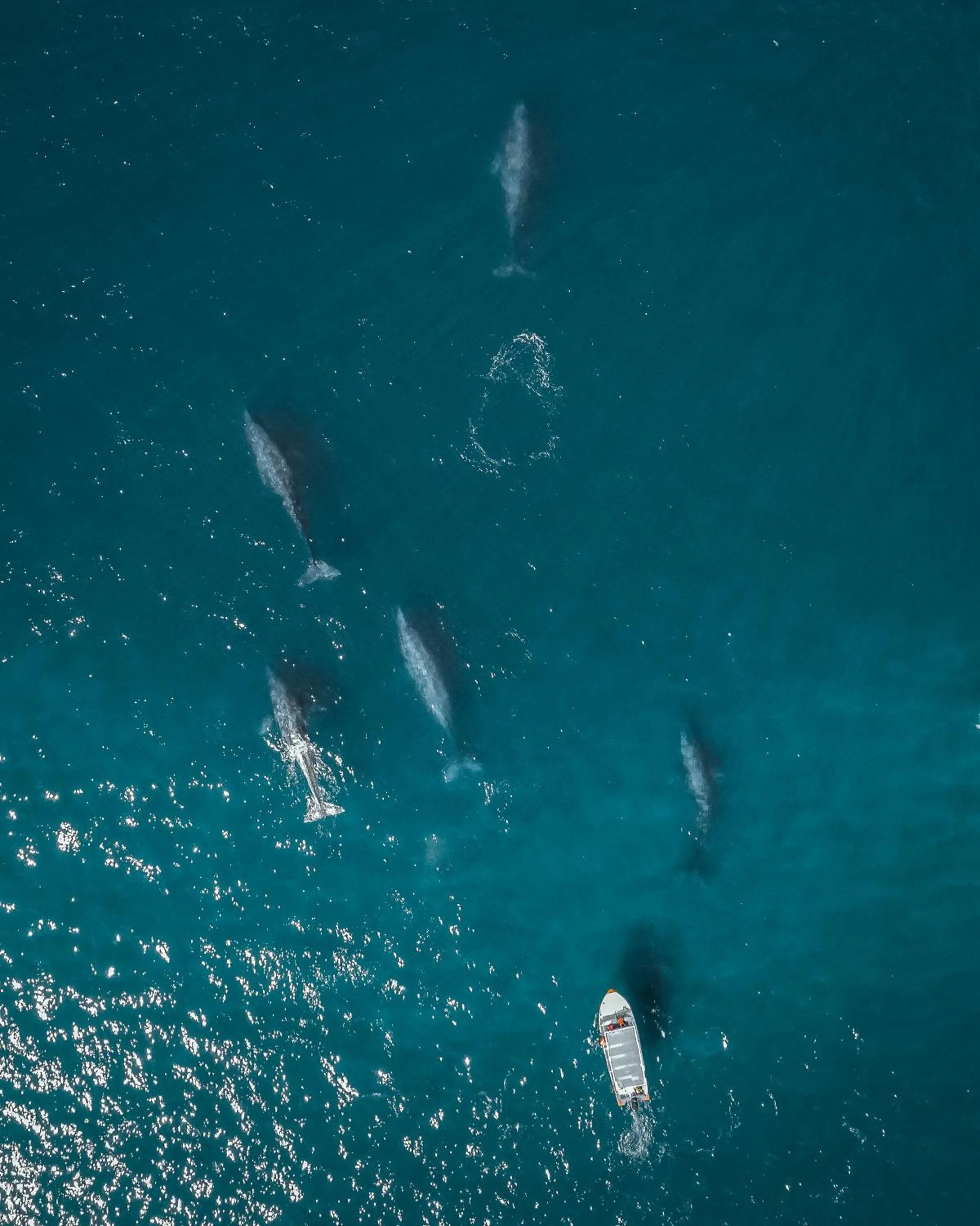 Activities in ZOA Hotel - Adults Only