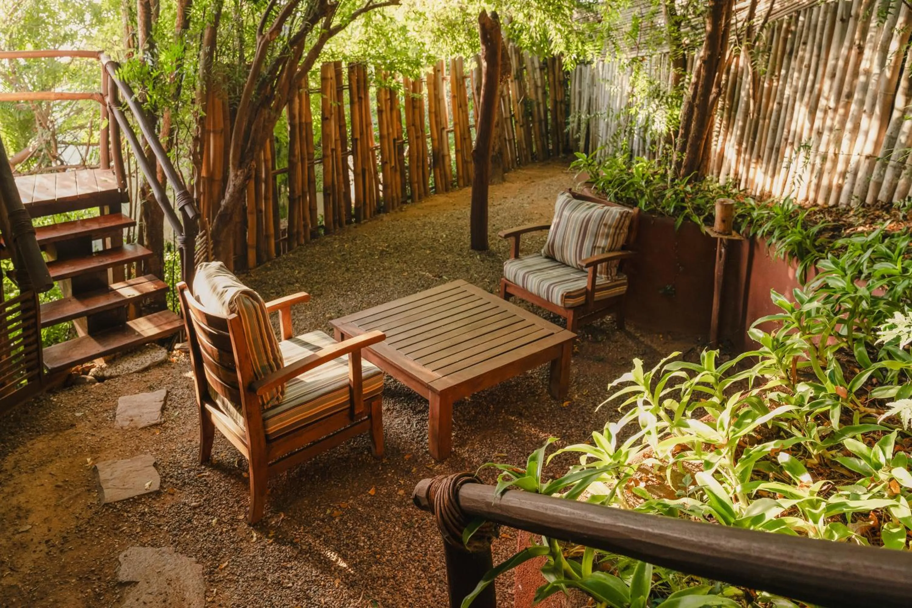 Garden view in ZOA Hotel - Adults Only