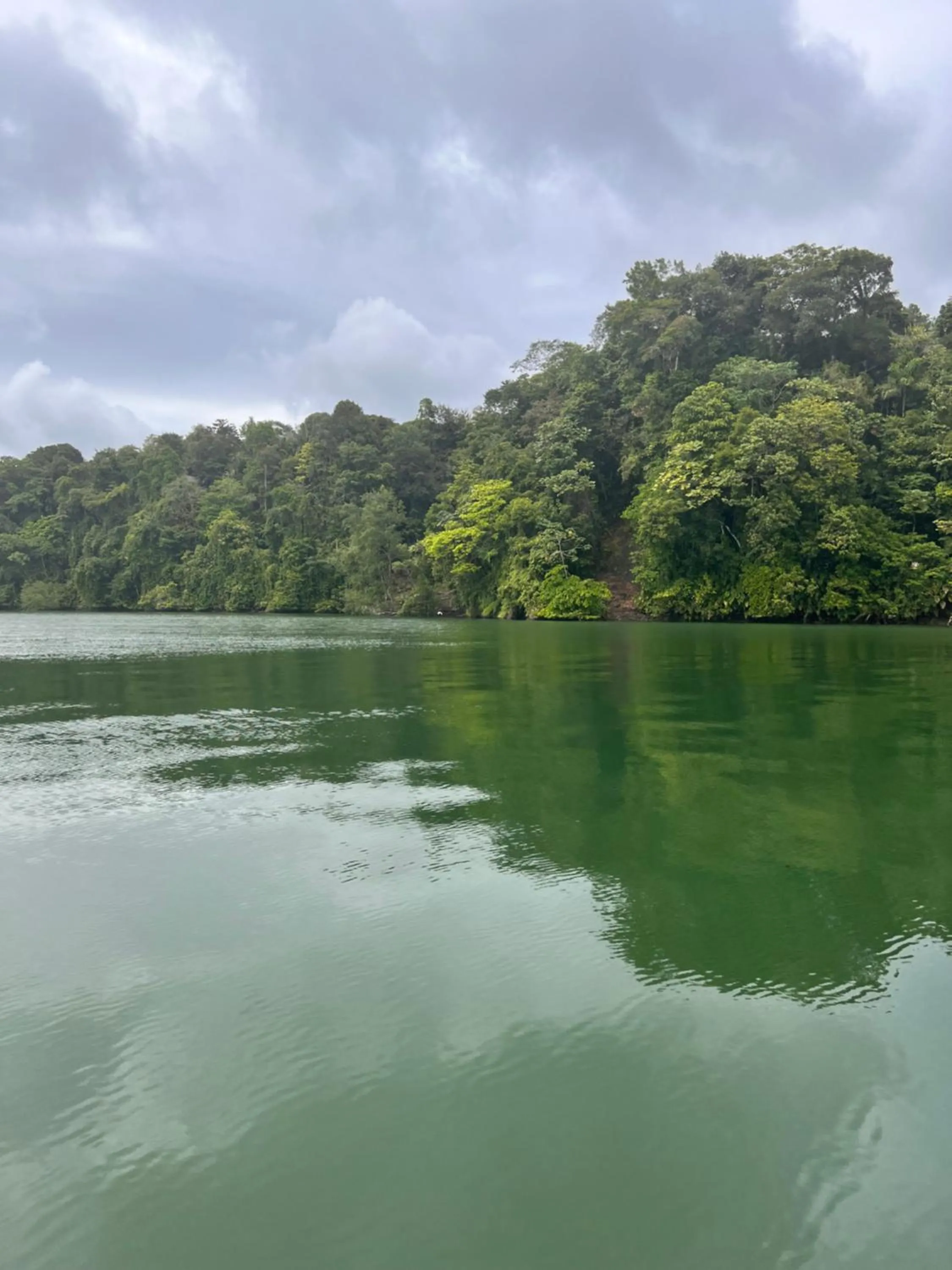 Natural landscape in PlazaMar Pacifico Hotel