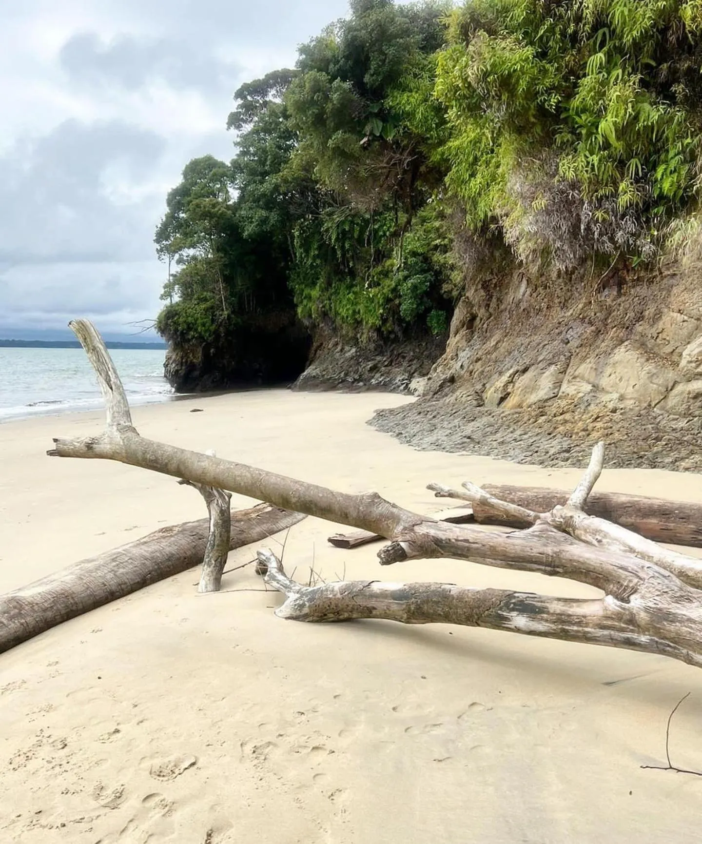 Natural landscape in PlazaMar Pacifico Hotel