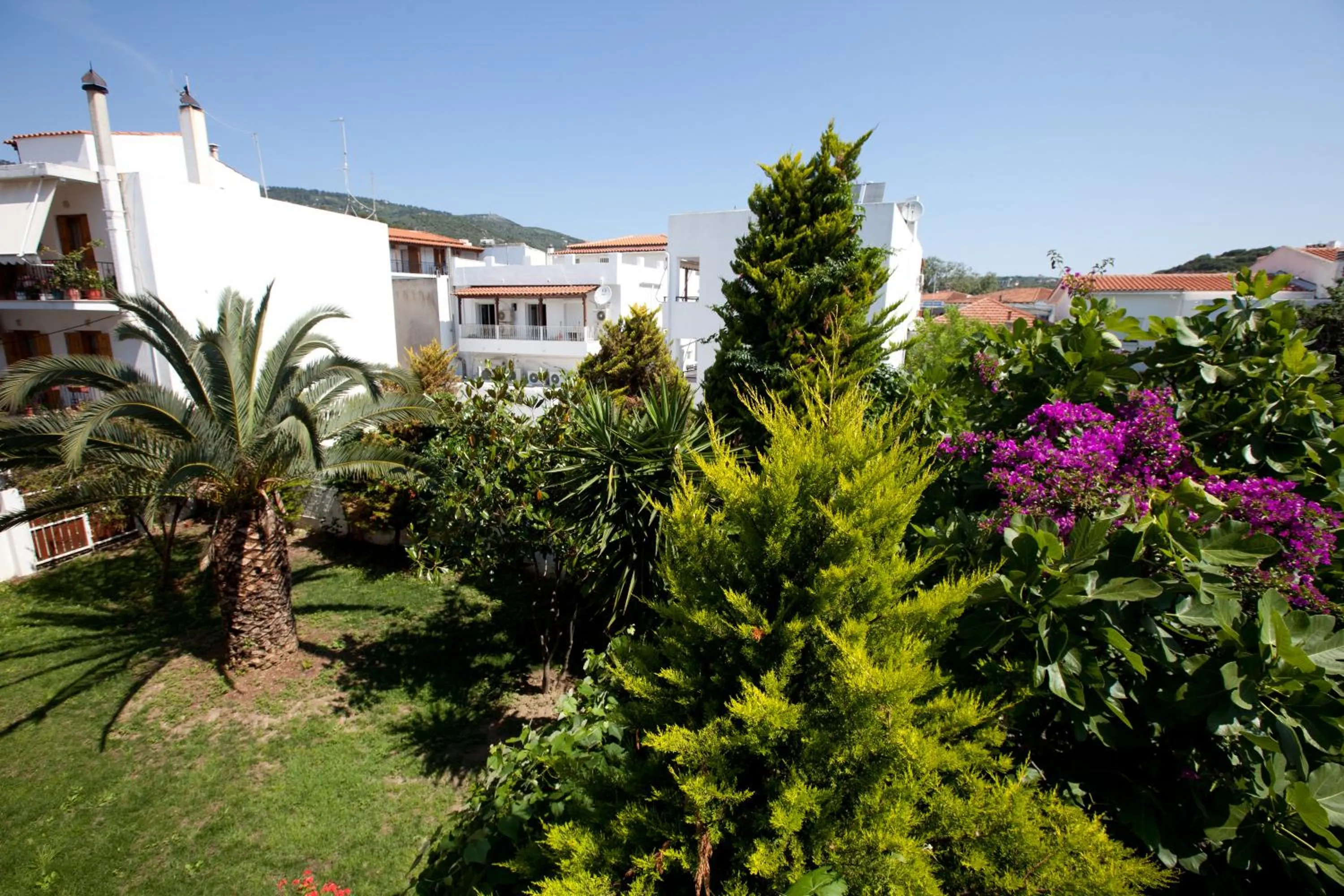Garden in Skiathos House