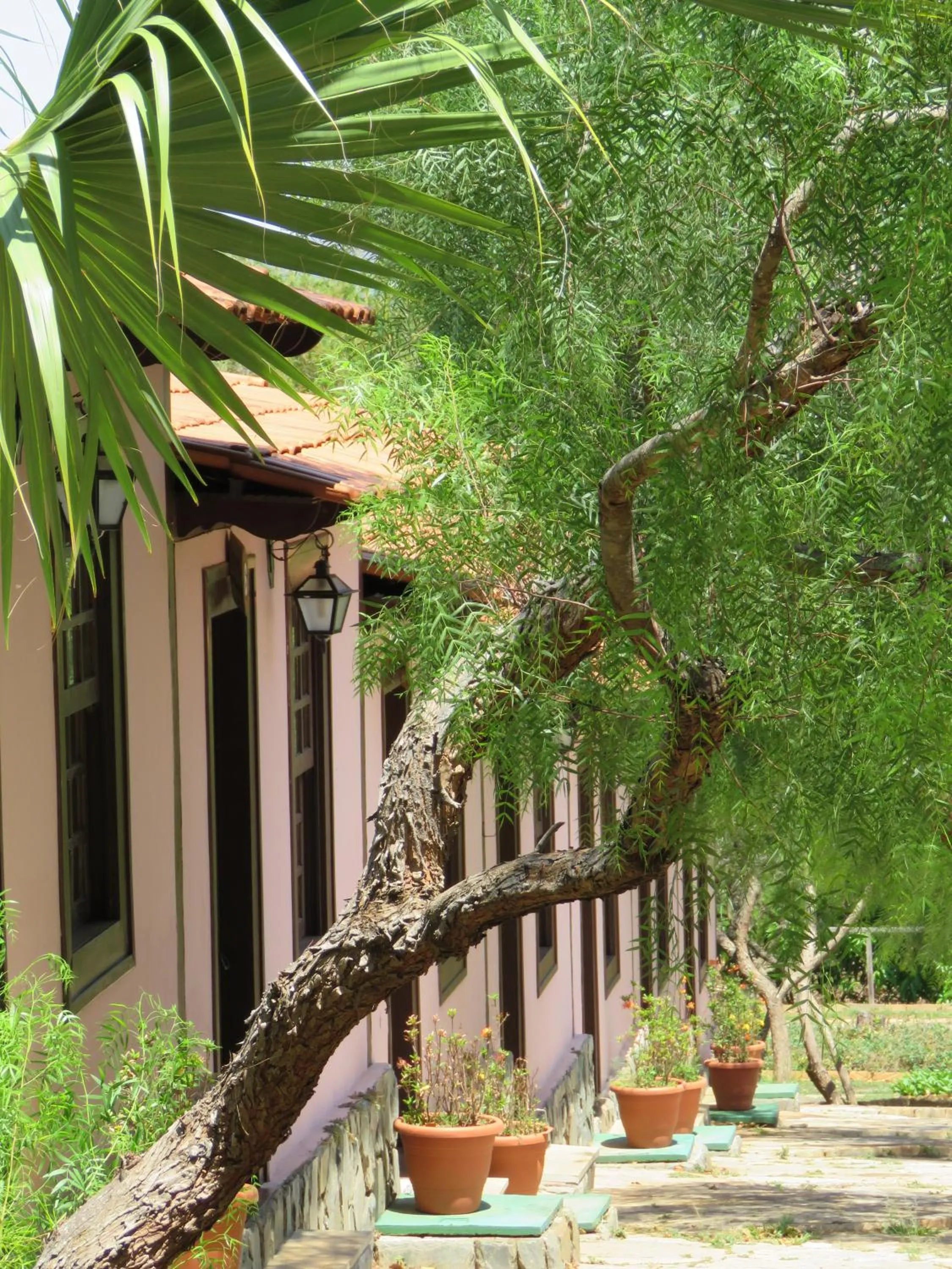 Estalagem Alter Real