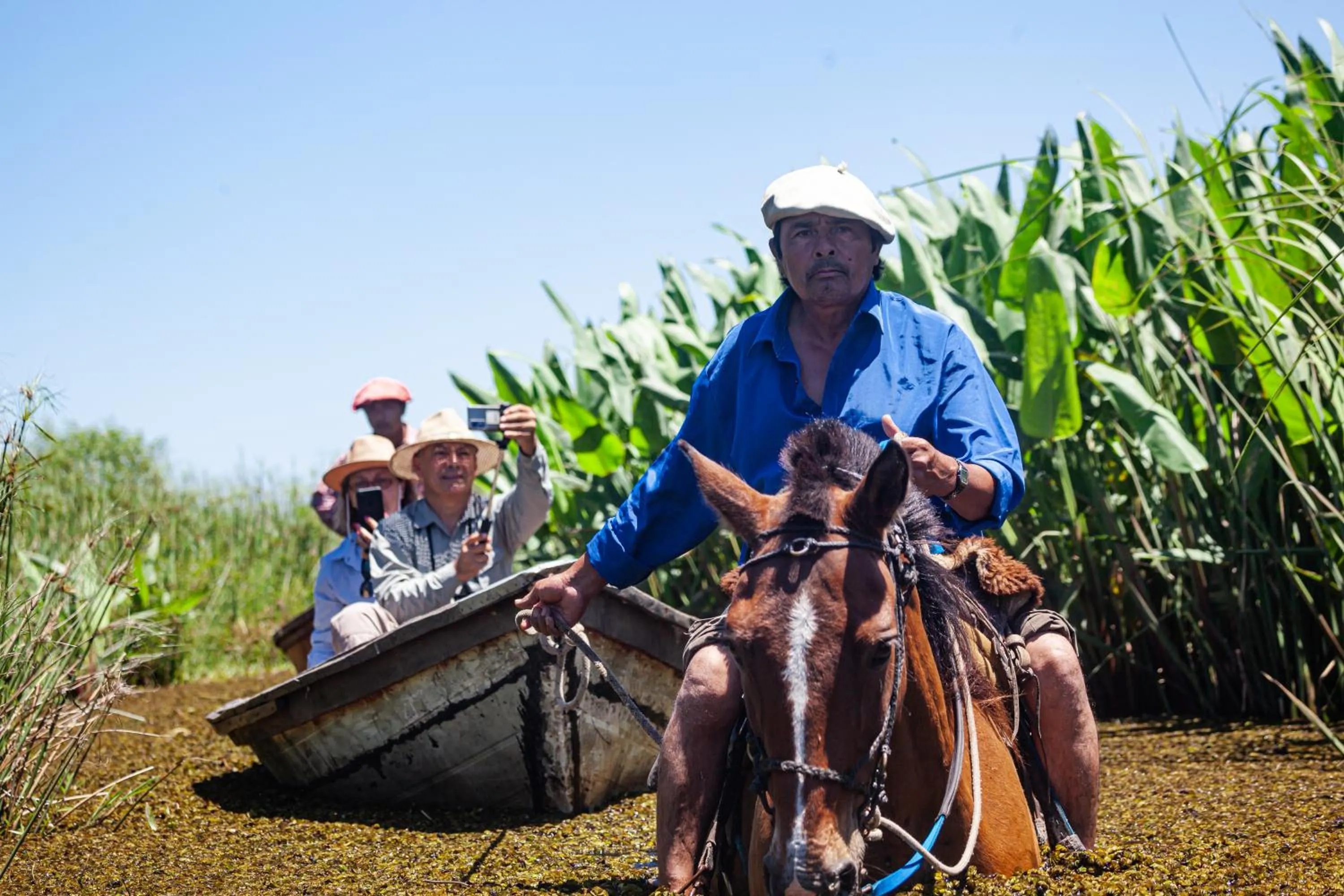 Activities in El Tránsito Hotel Boutique