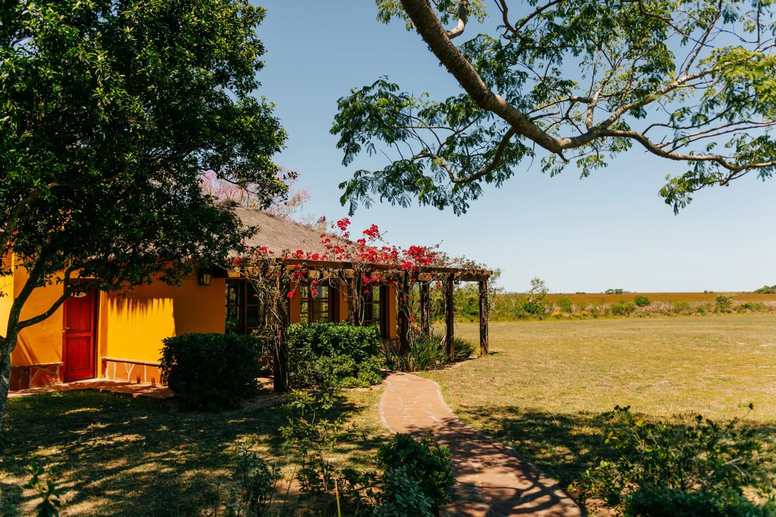 Restaurant/places to eat in El Tránsito Hotel Boutique