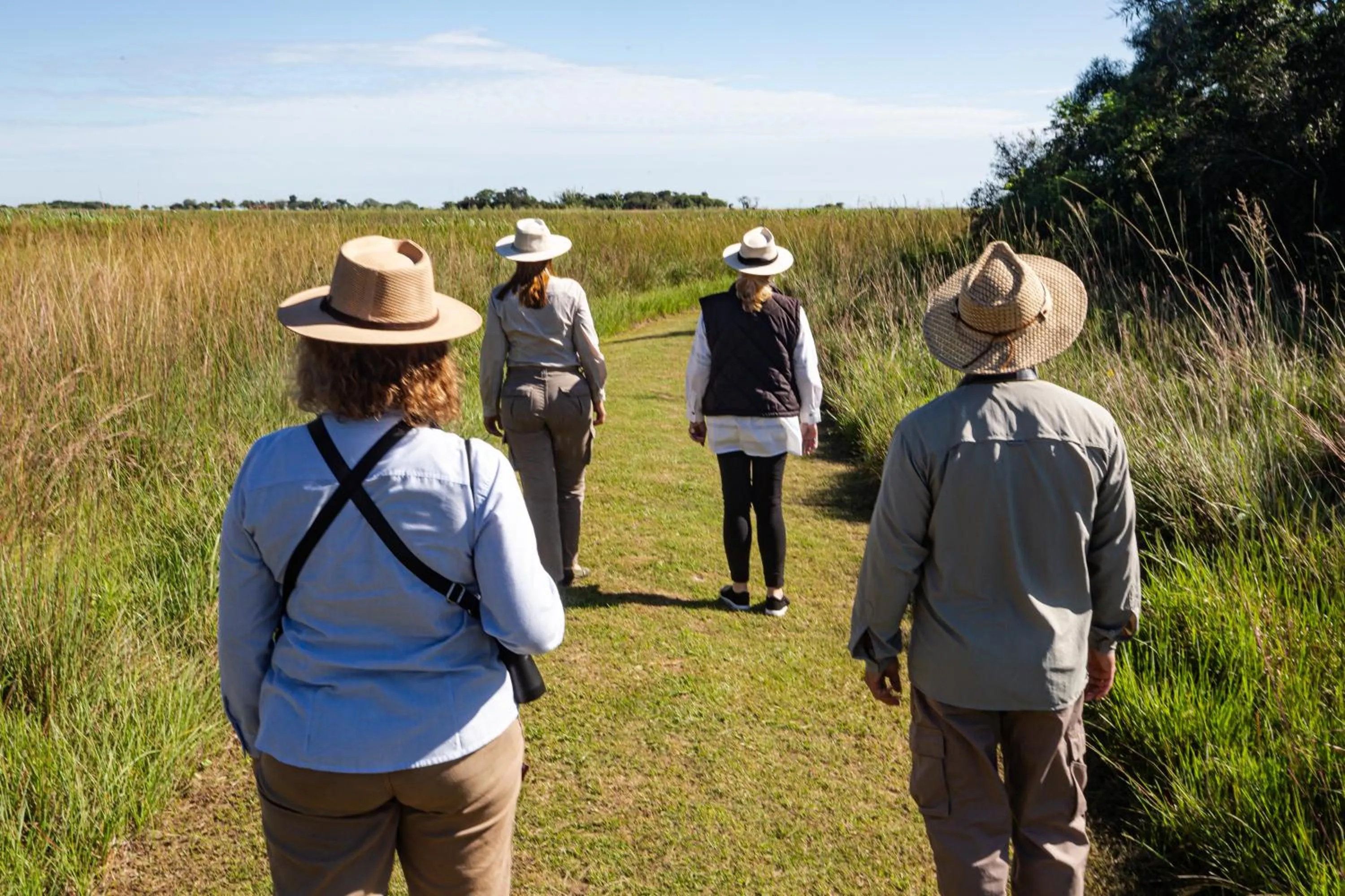Activities in El Tránsito Hotel Boutique