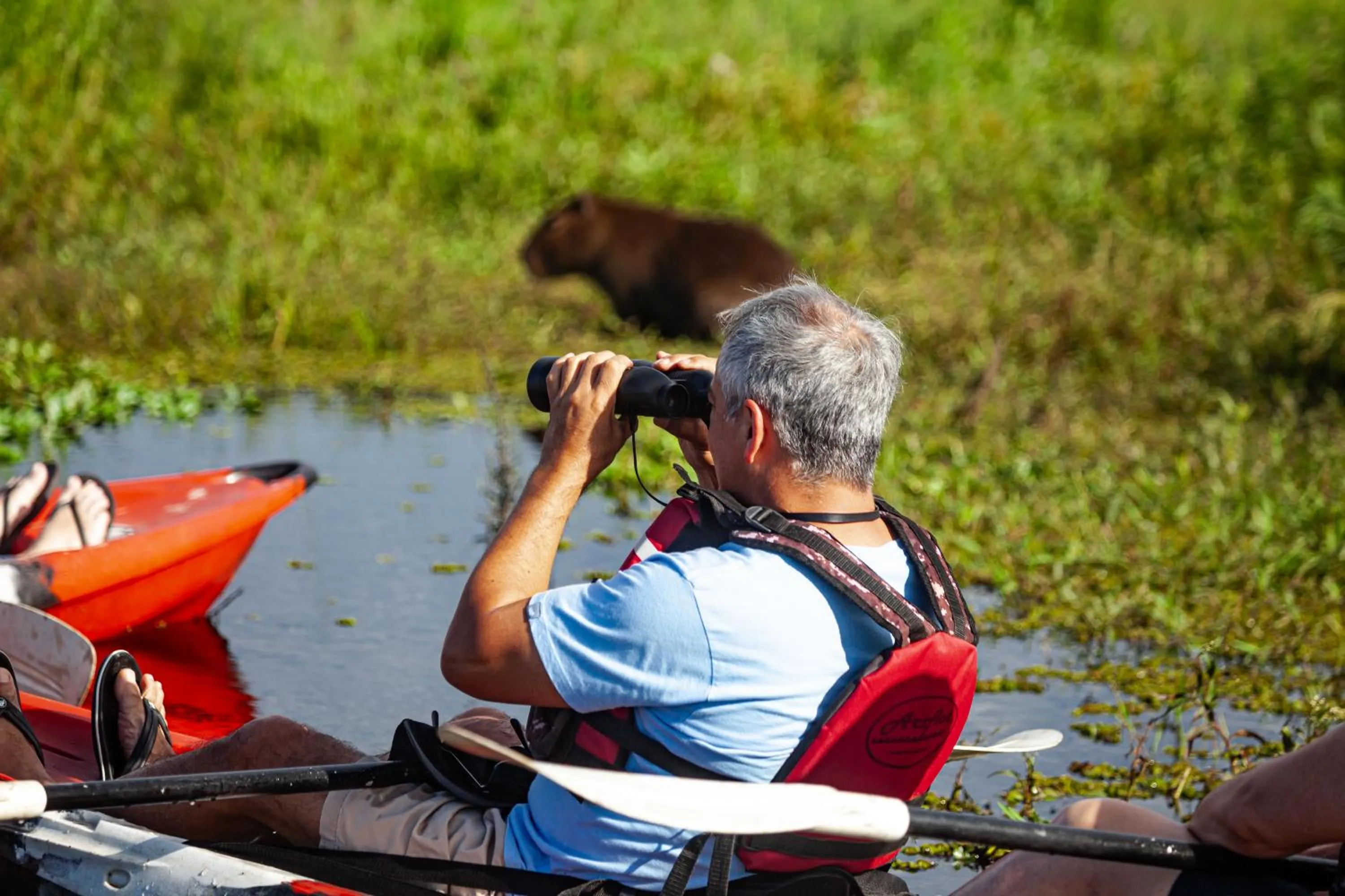 Activities in El Tránsito Hotel Boutique