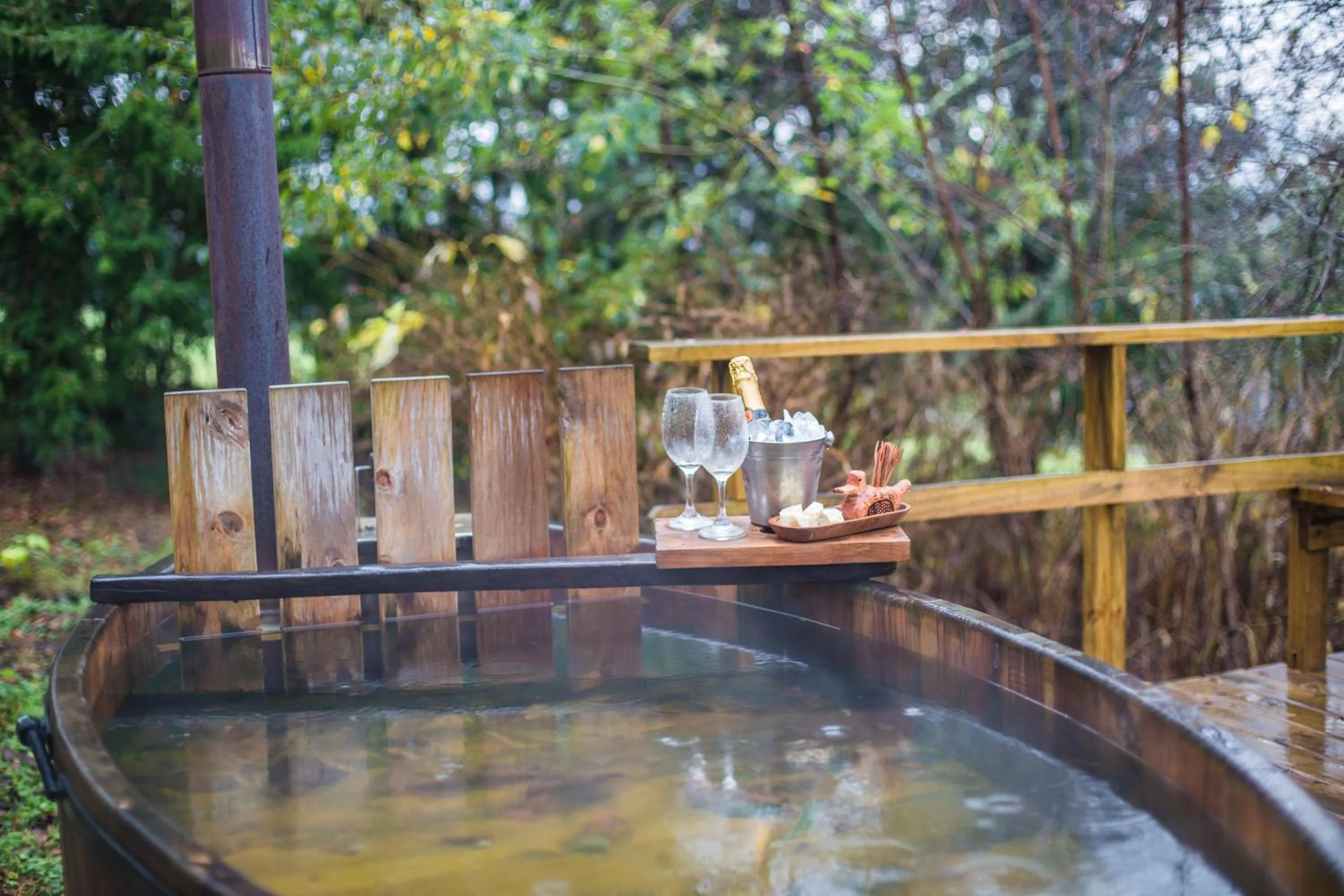 Area and facilities in Apart hotel Puchaley Lafquen