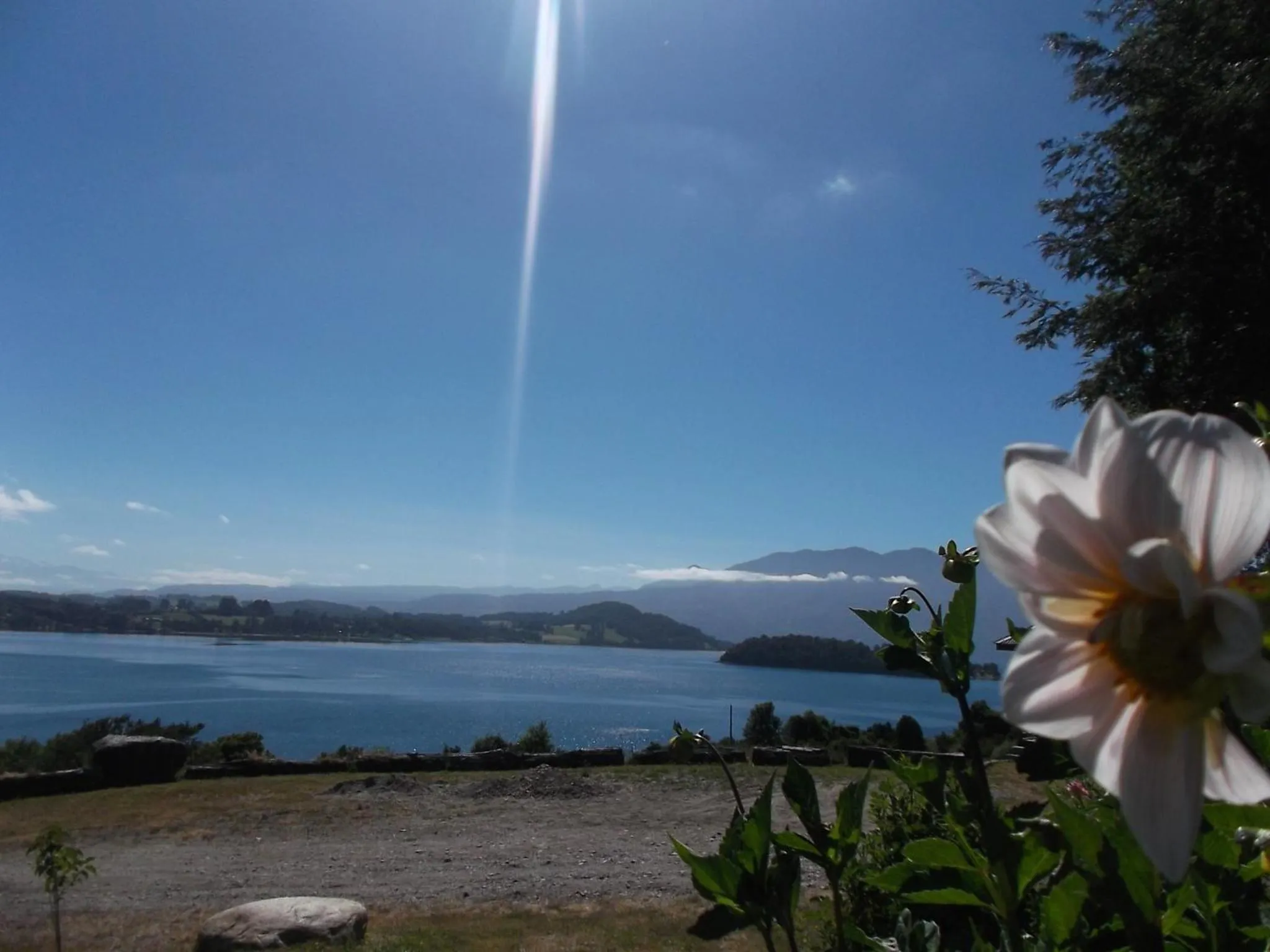 Natural landscape in Apart hotel Puchaley Lafquen