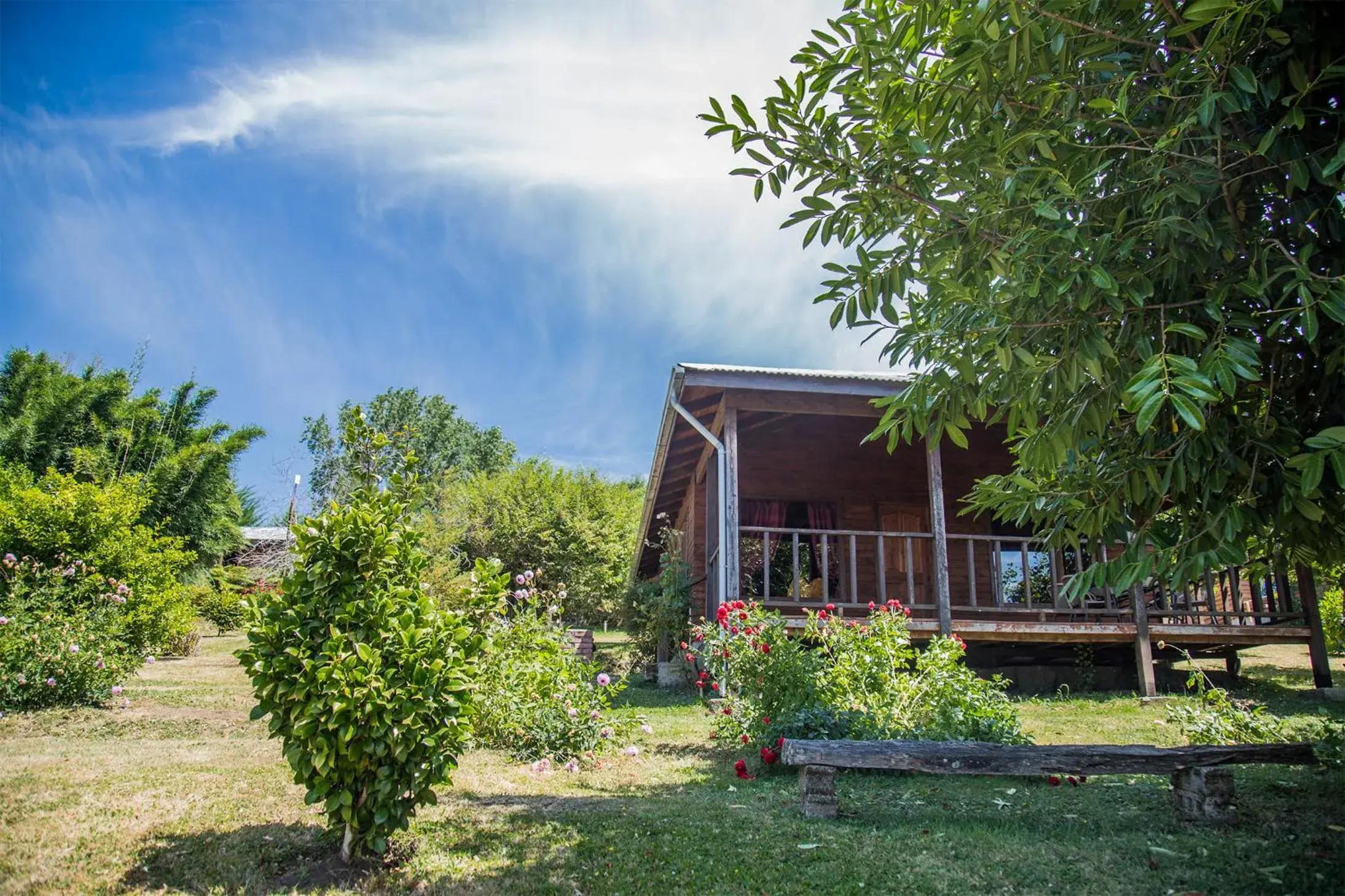 Deluxe Bungalow in Apart hotel Puchaley Lafquen Deluxe Bungalow in Apart hotel Puchaley Lafquen