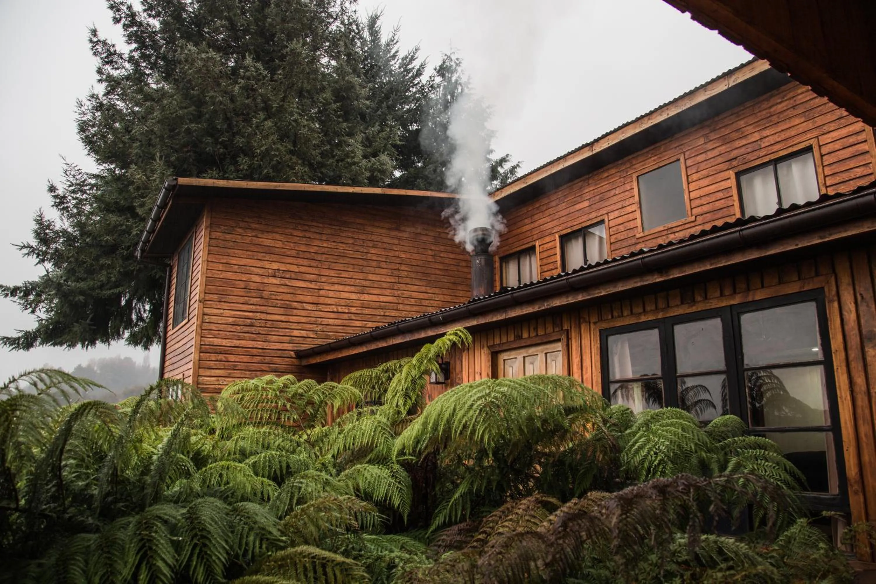 Facade/entrance in Apart hotel Puchaley Lafquen