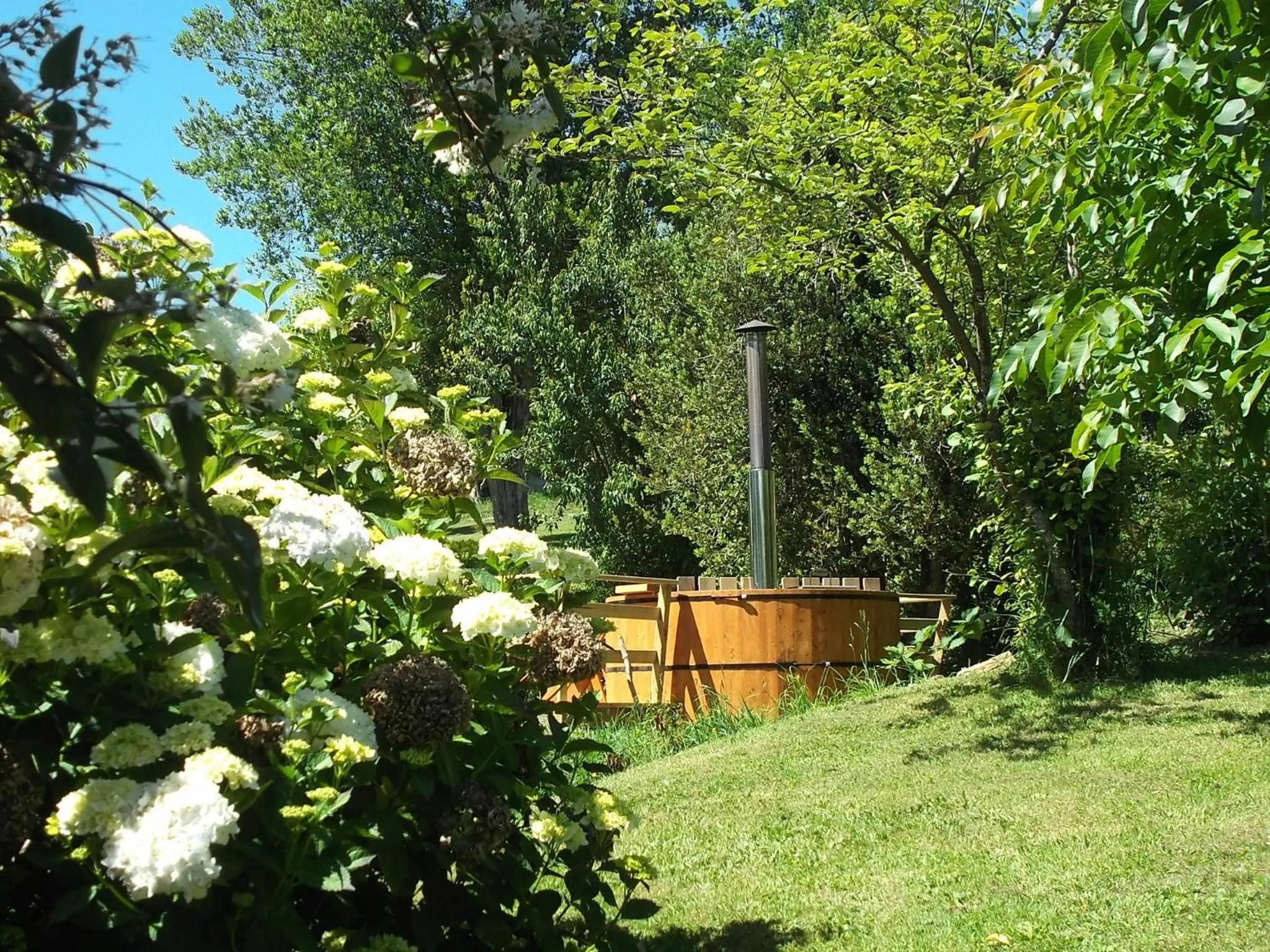 Activities in Apart hotel Puchaley Lafquen