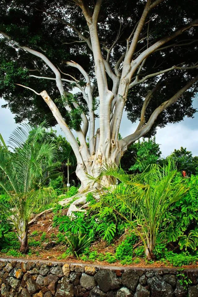 Facade/entrance in Banyan Tree Sanctuary Guest House