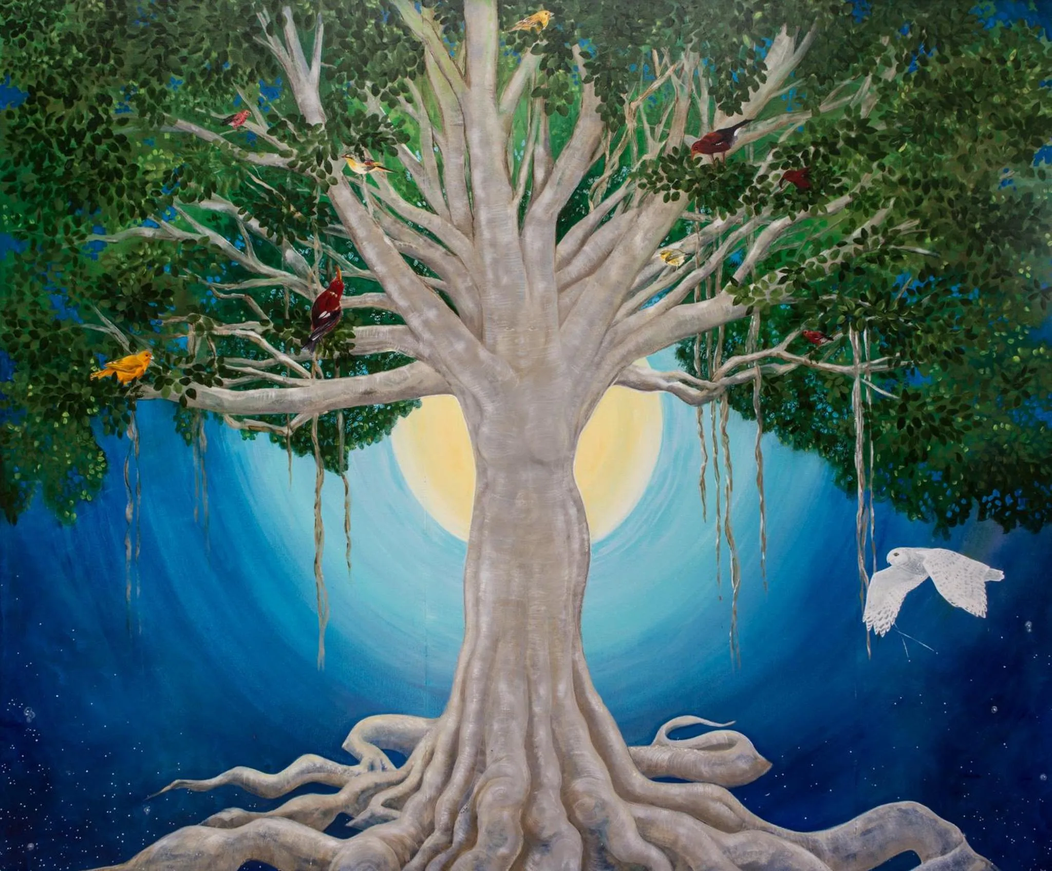 Communal lounge/ TV room in Banyan Tree Sanctuary Guest House