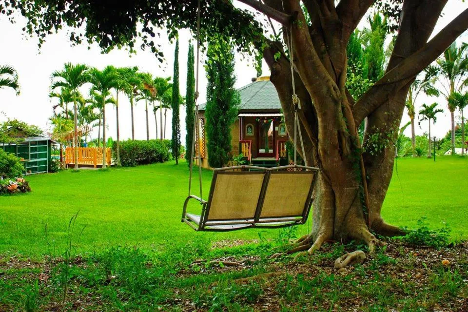 Communal lounge/ TV room in Banyan Tree Sanctuary Guest House