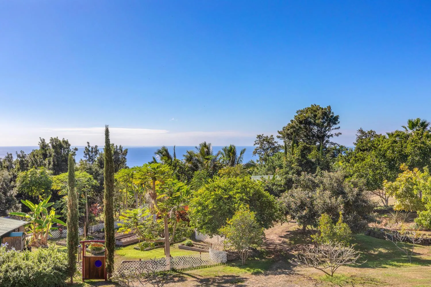 Garden in Banyan Tree Sanctuary Guest House