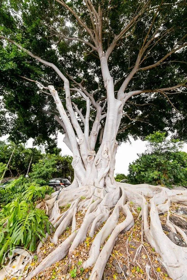 View (from property/room) in Banyan Tree Sanctuary Guest House