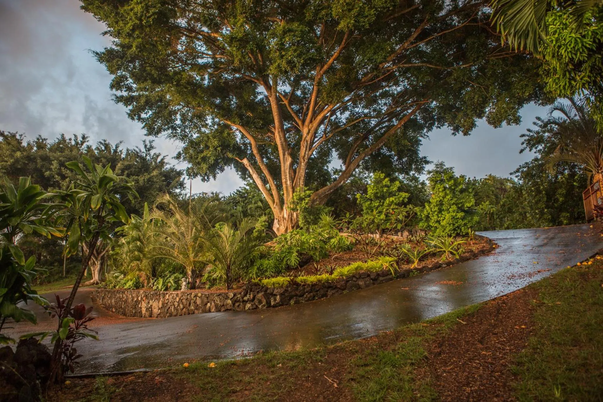 View (from property/room) in Banyan Tree Sanctuary Guest House