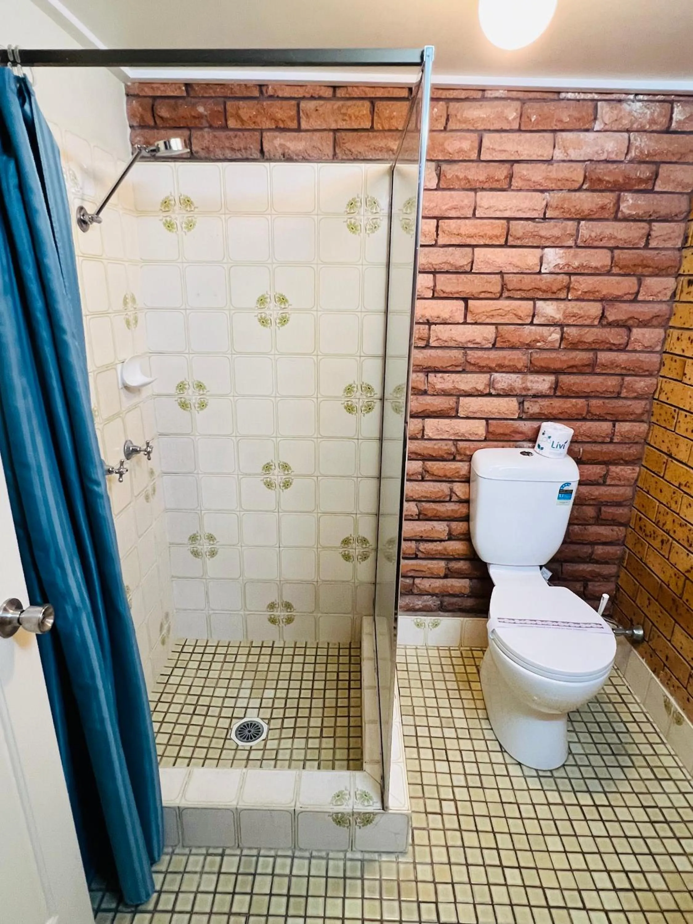 Bathroom in OVERLANDER MOTOR LODGE