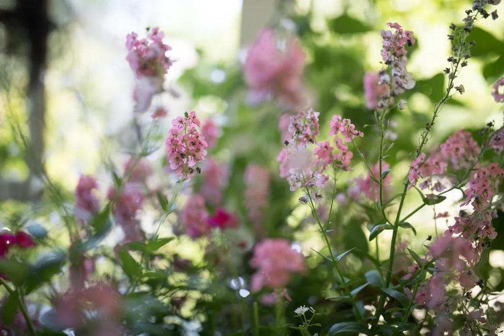 Charles Street Vacation Home