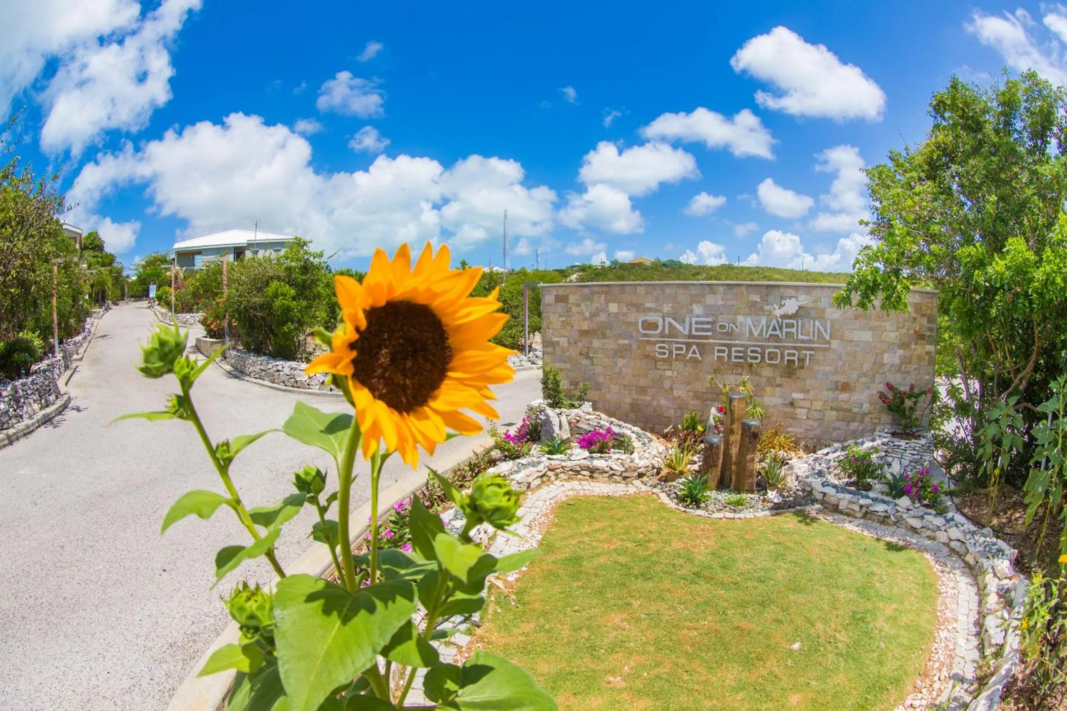 One ON Marlin Resort