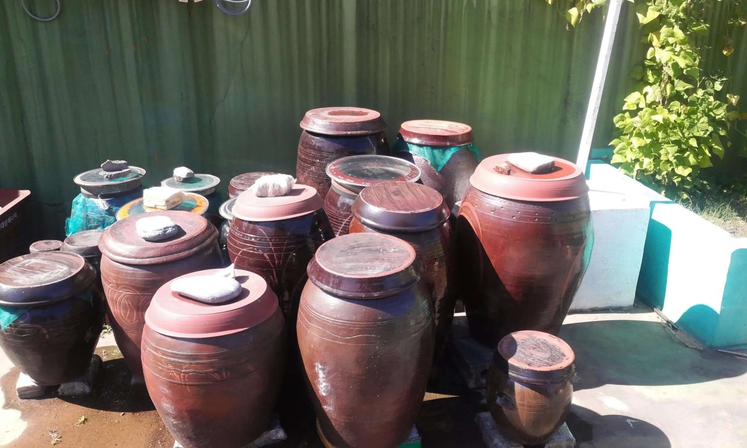 Decorative detail in OPPA Hostel Sinchon-Hongdae