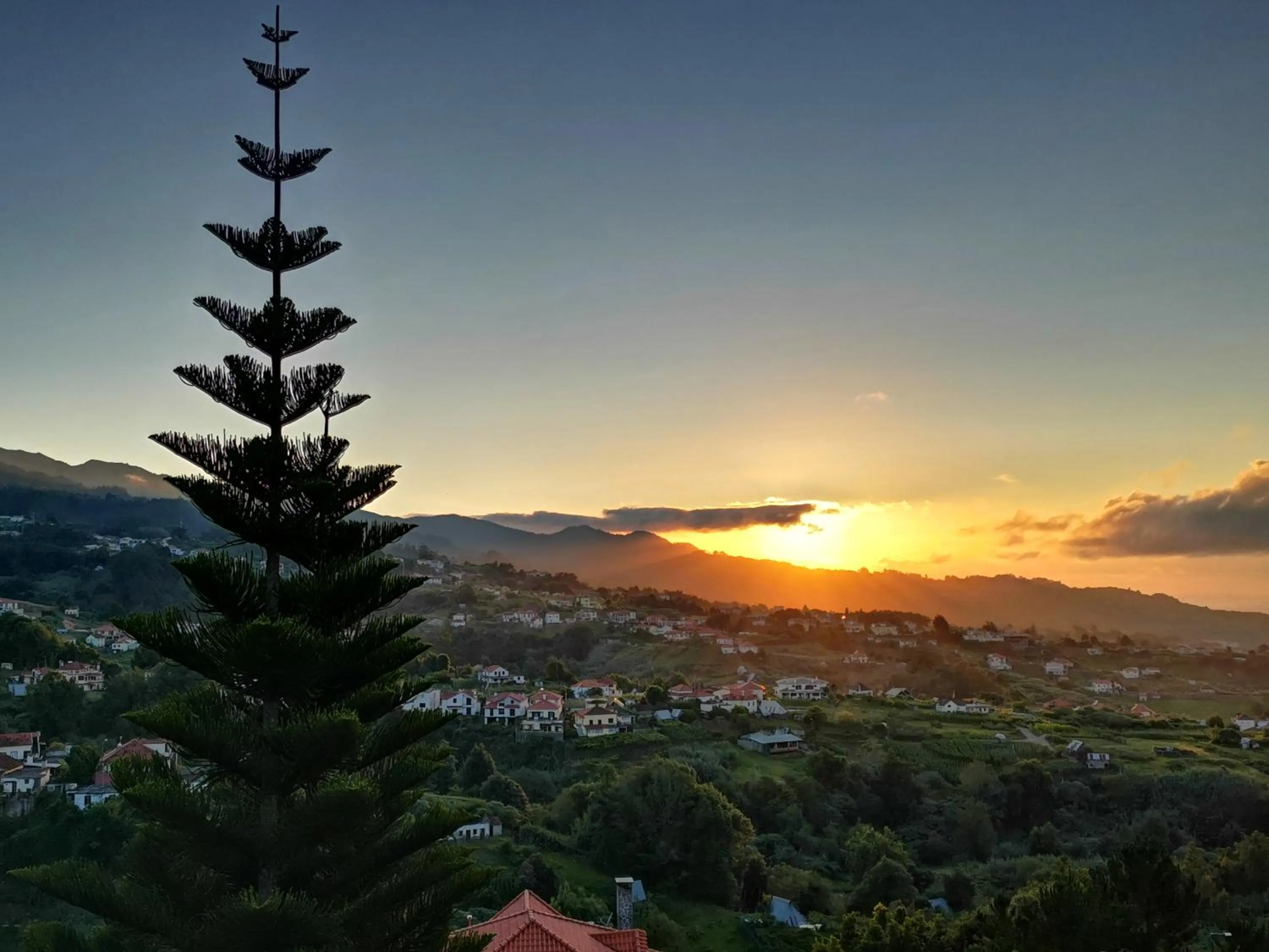 Natural landscape in Santana in Nature Bed & Breakfast