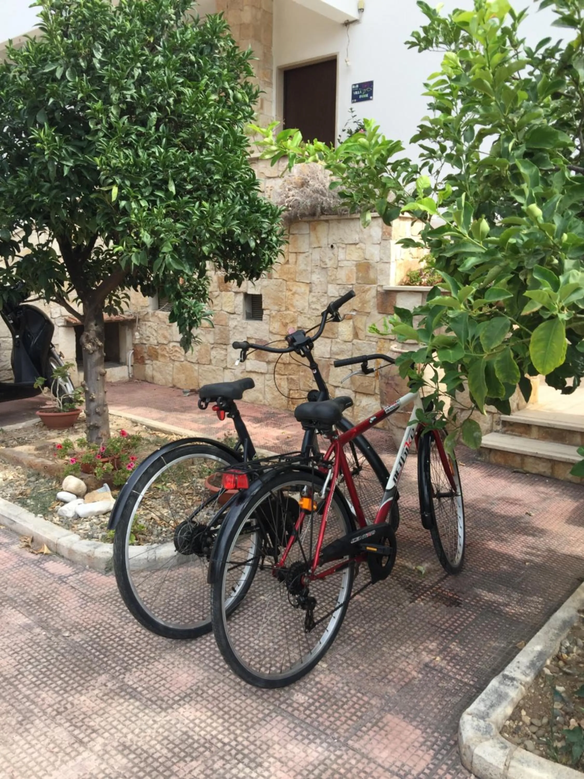 Cycling in La Casa di Emanuella - Rooms & International Suites