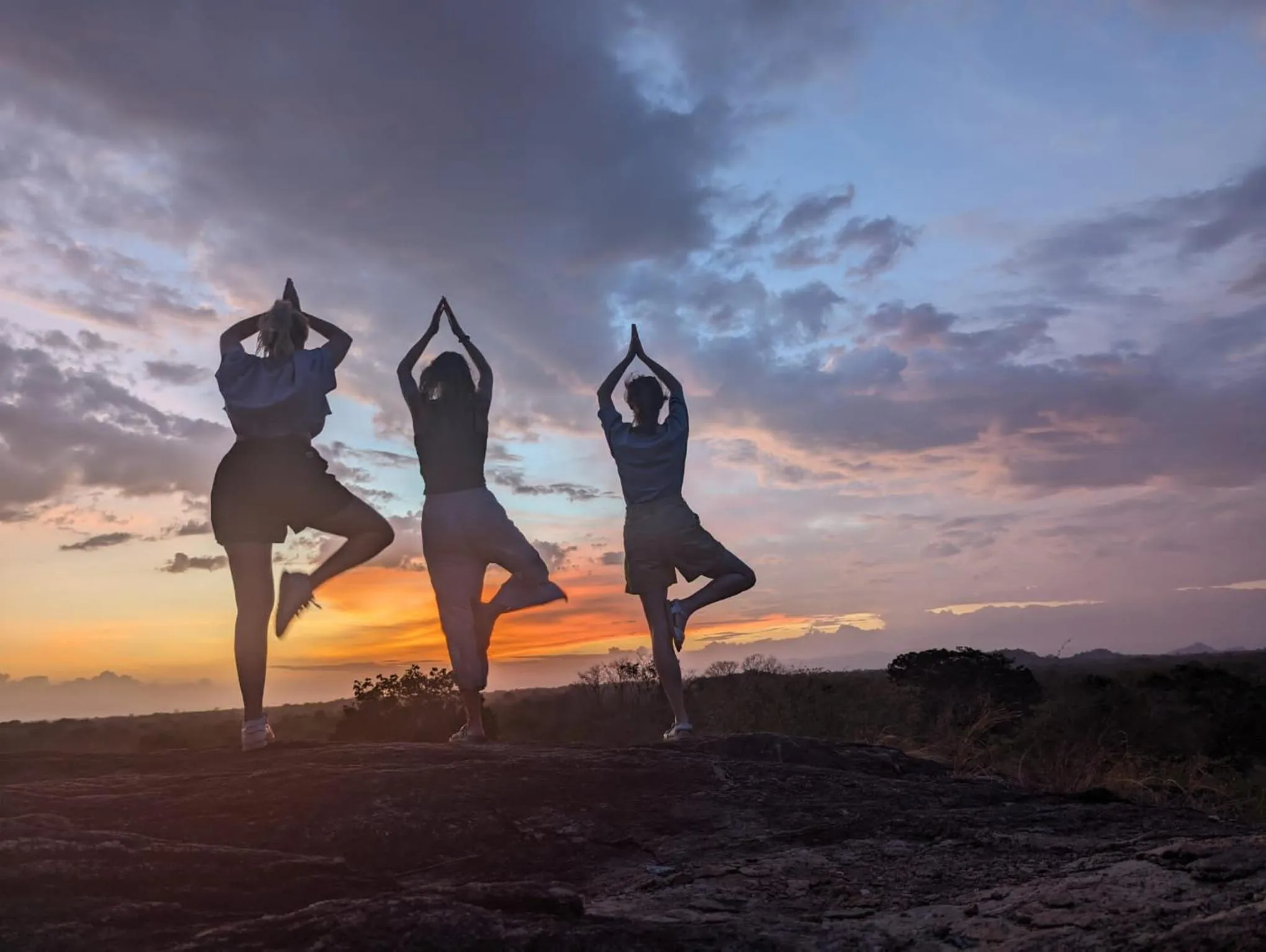 Garden in Big Game Udawalawe - by Eco Team