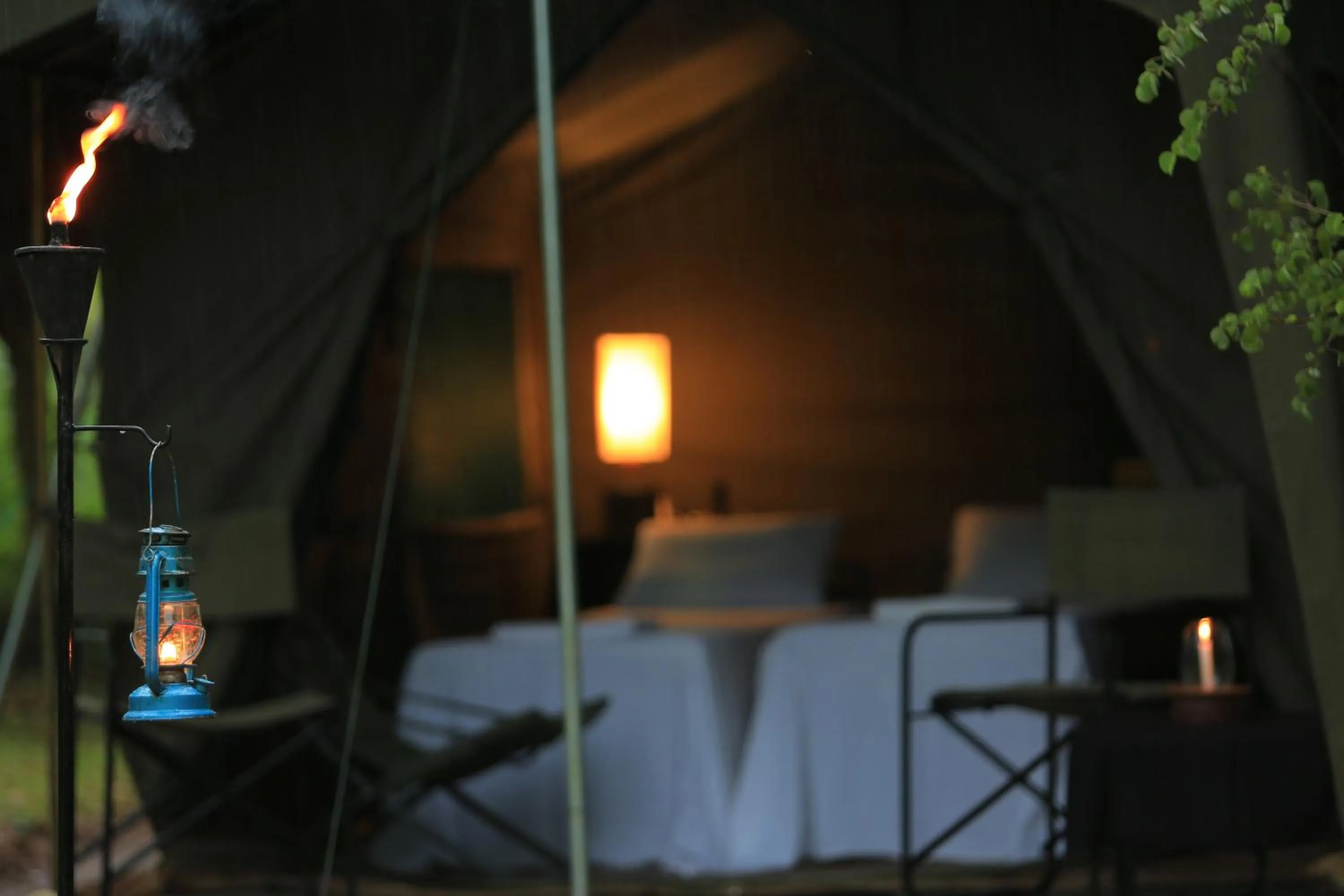 Bedroom, Bed in Big Game Udawalawe - by Eco Team