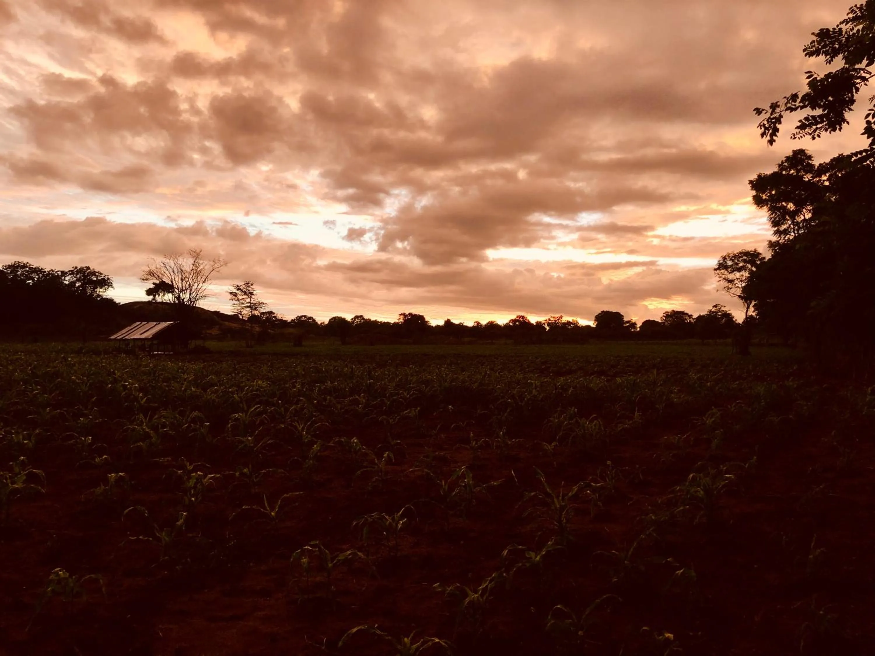 Natural landscape in Big Game Udawalawe - by Eco Team