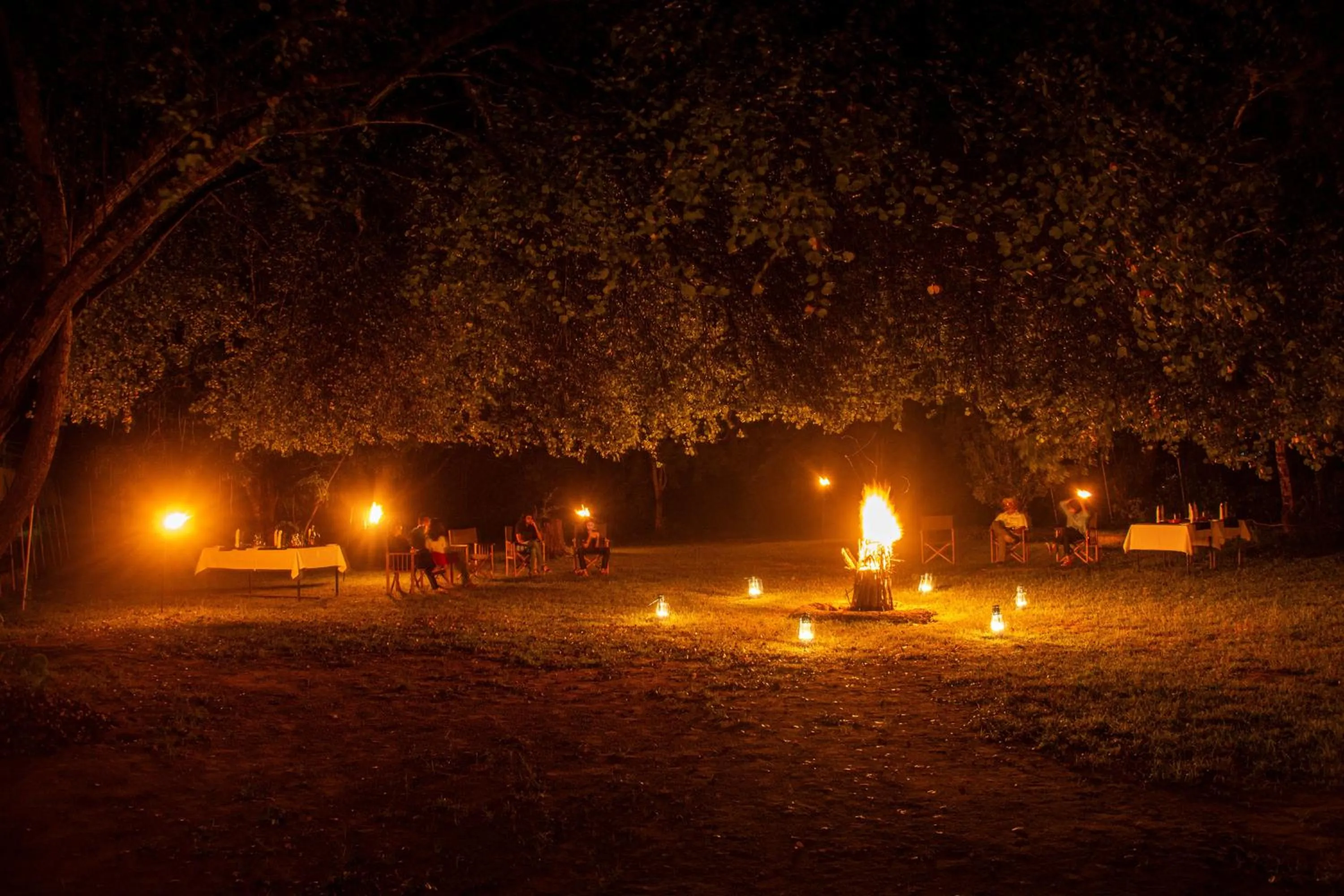 Property building in Big Game Udawalawe - by Eco Team