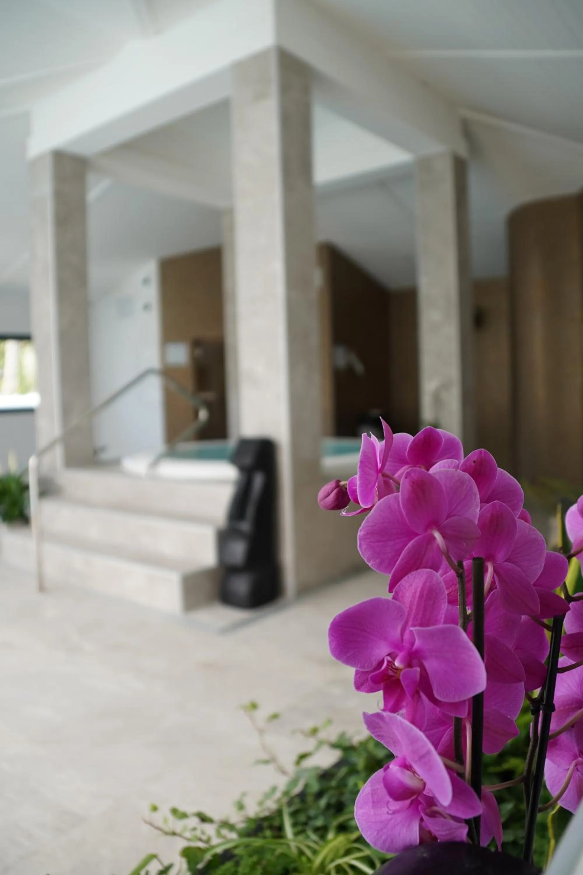 Hot Tub in Le Village des Bambous