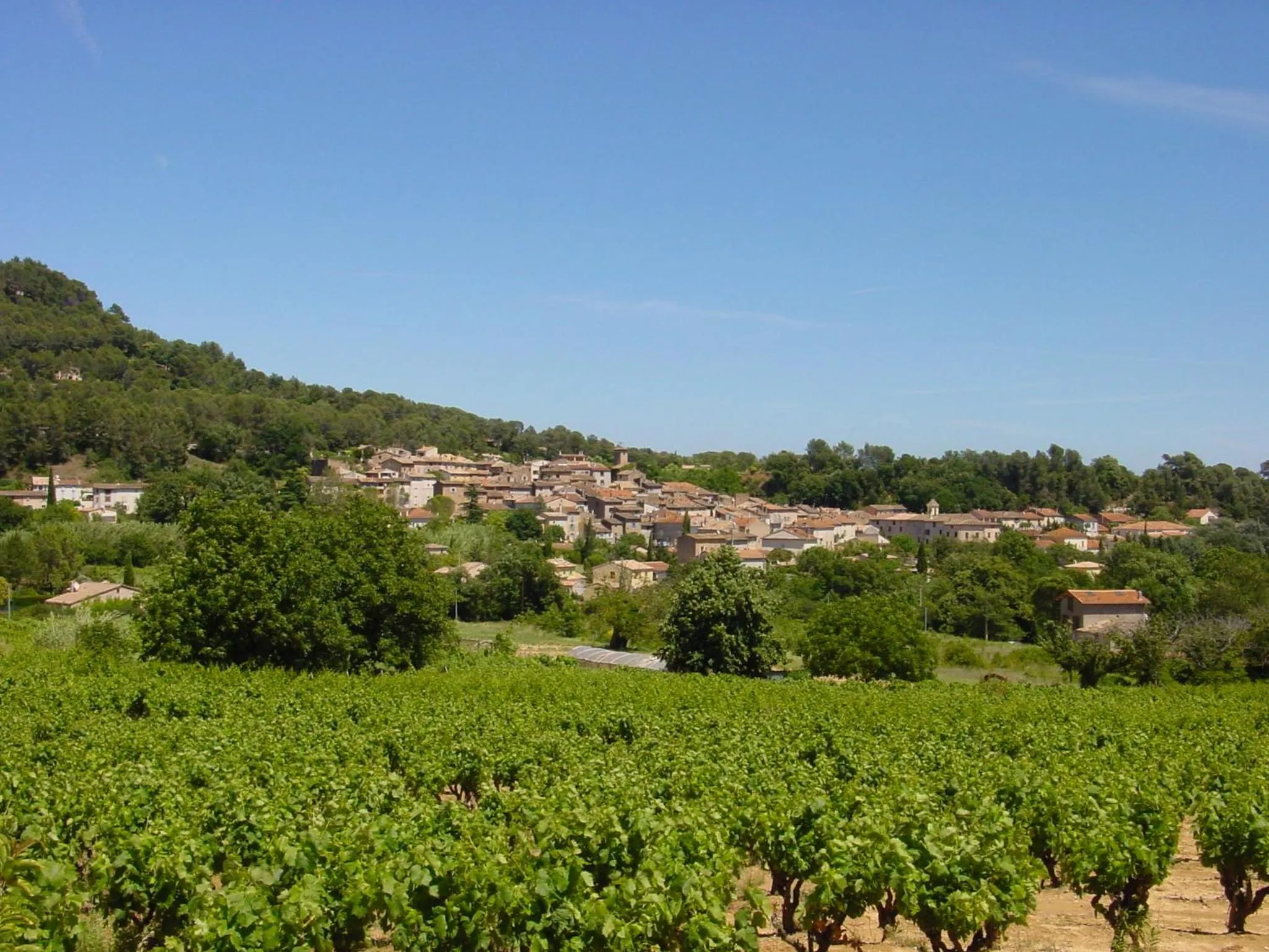 Area and facilities in Les Appartements et Maisons du Domaine de Saint Endréol Golf & Spa Resort