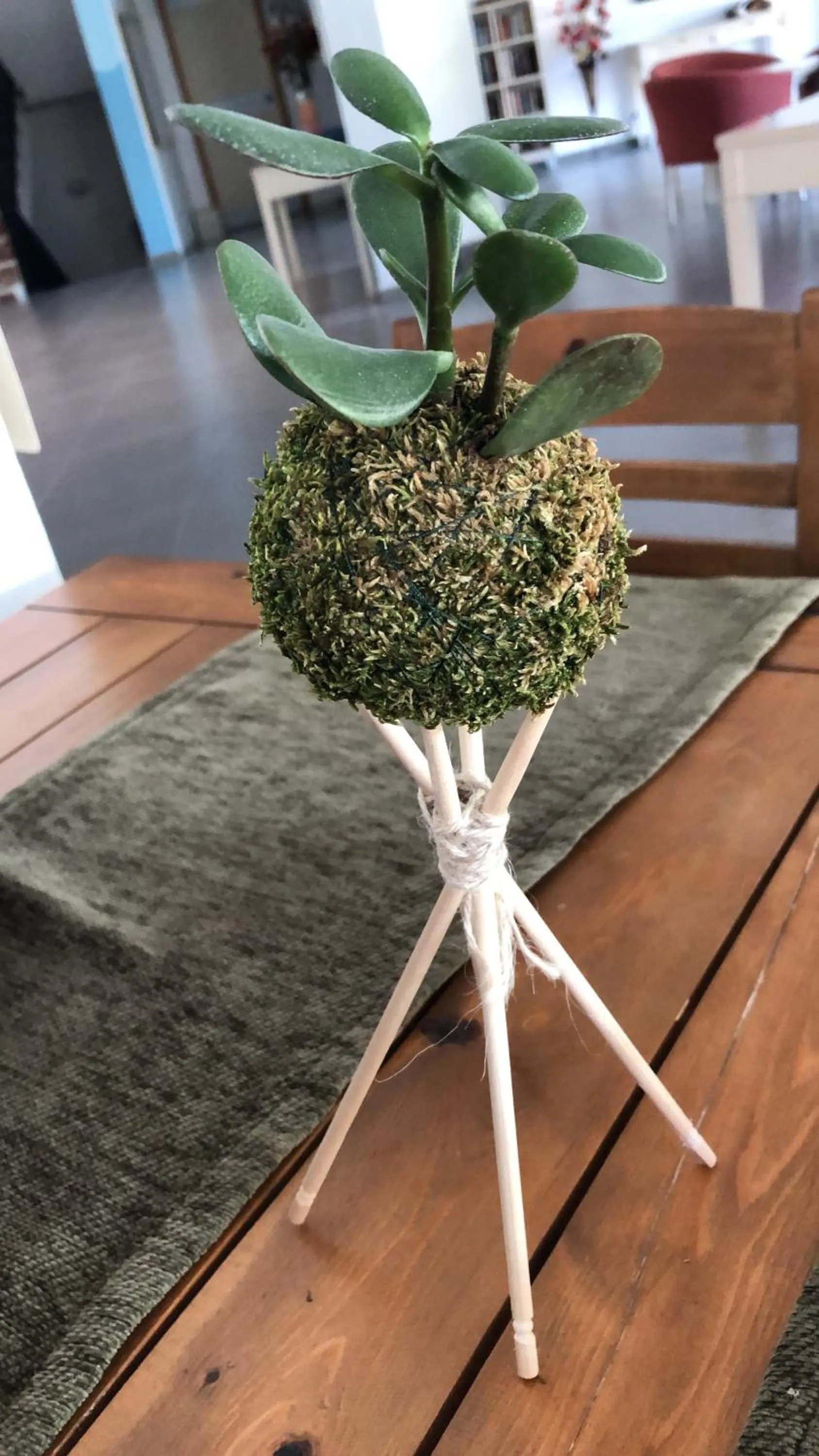 Restaurant/places to eat in Rebin Beach Hotel