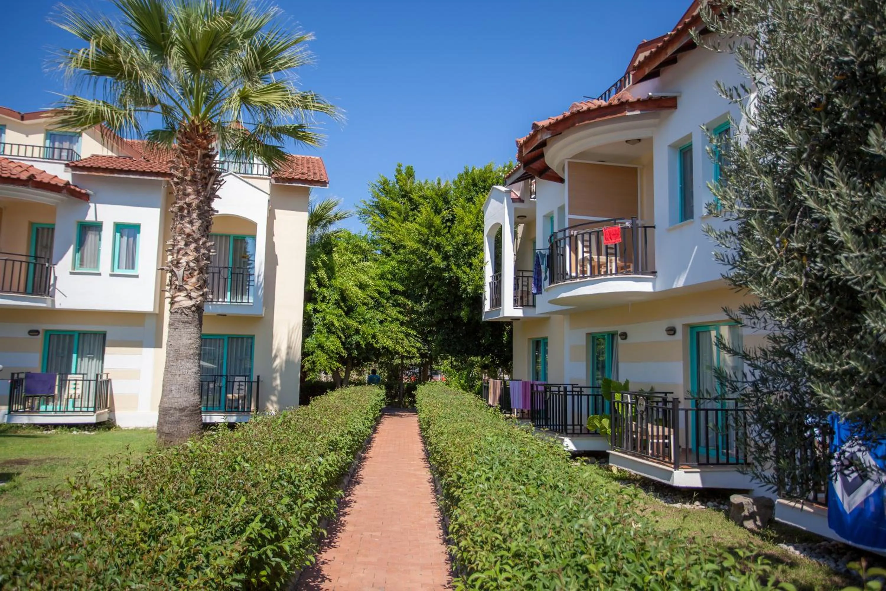 Garden view in Rebin Beach Hotel
