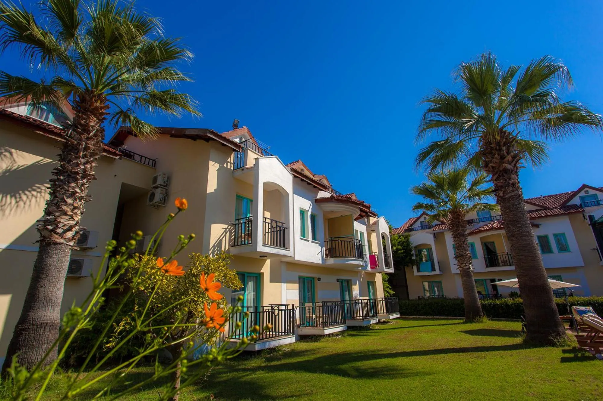 Garden view in Rebin Beach Hotel