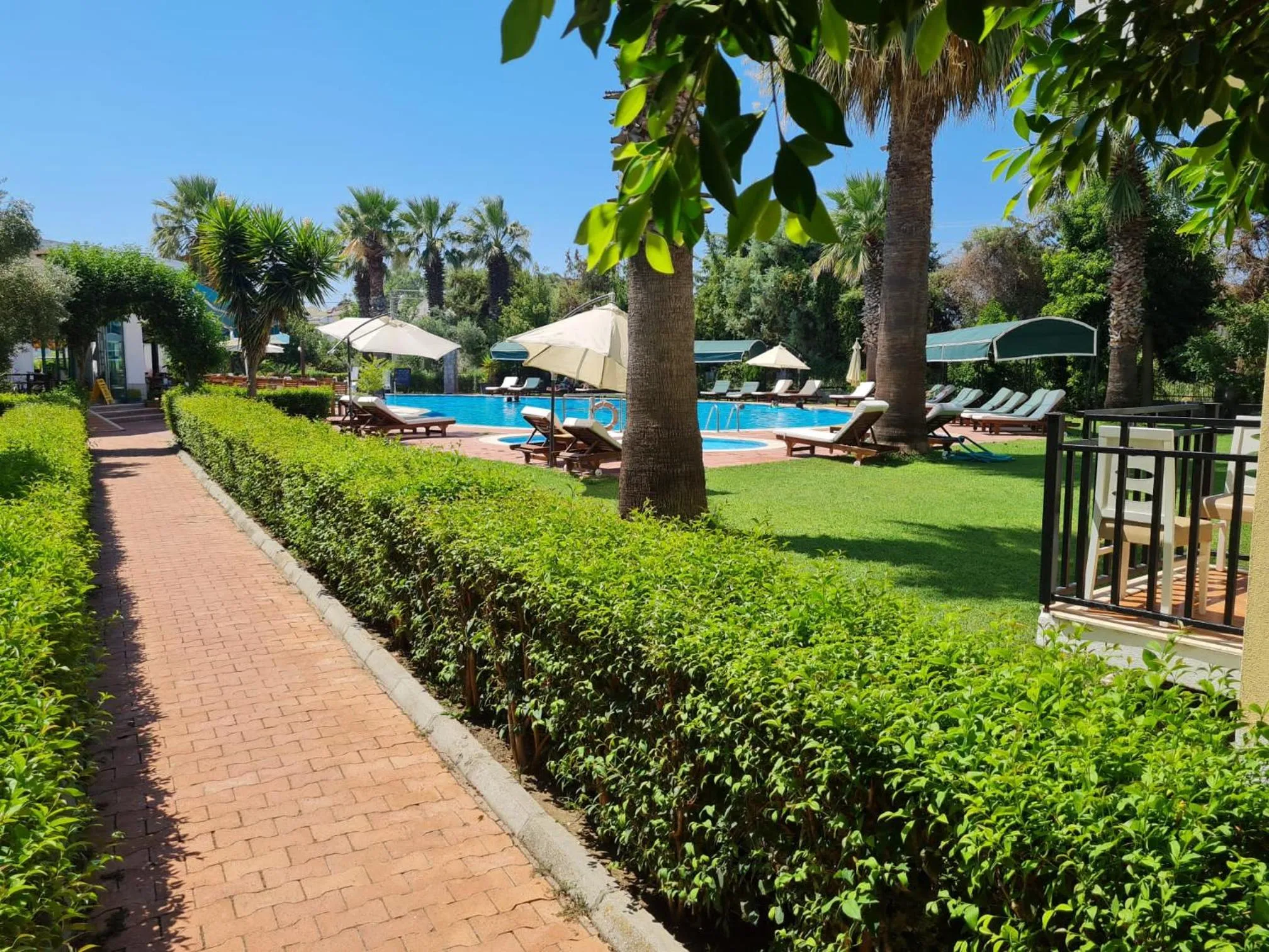 Garden in Rebin Beach Hotel