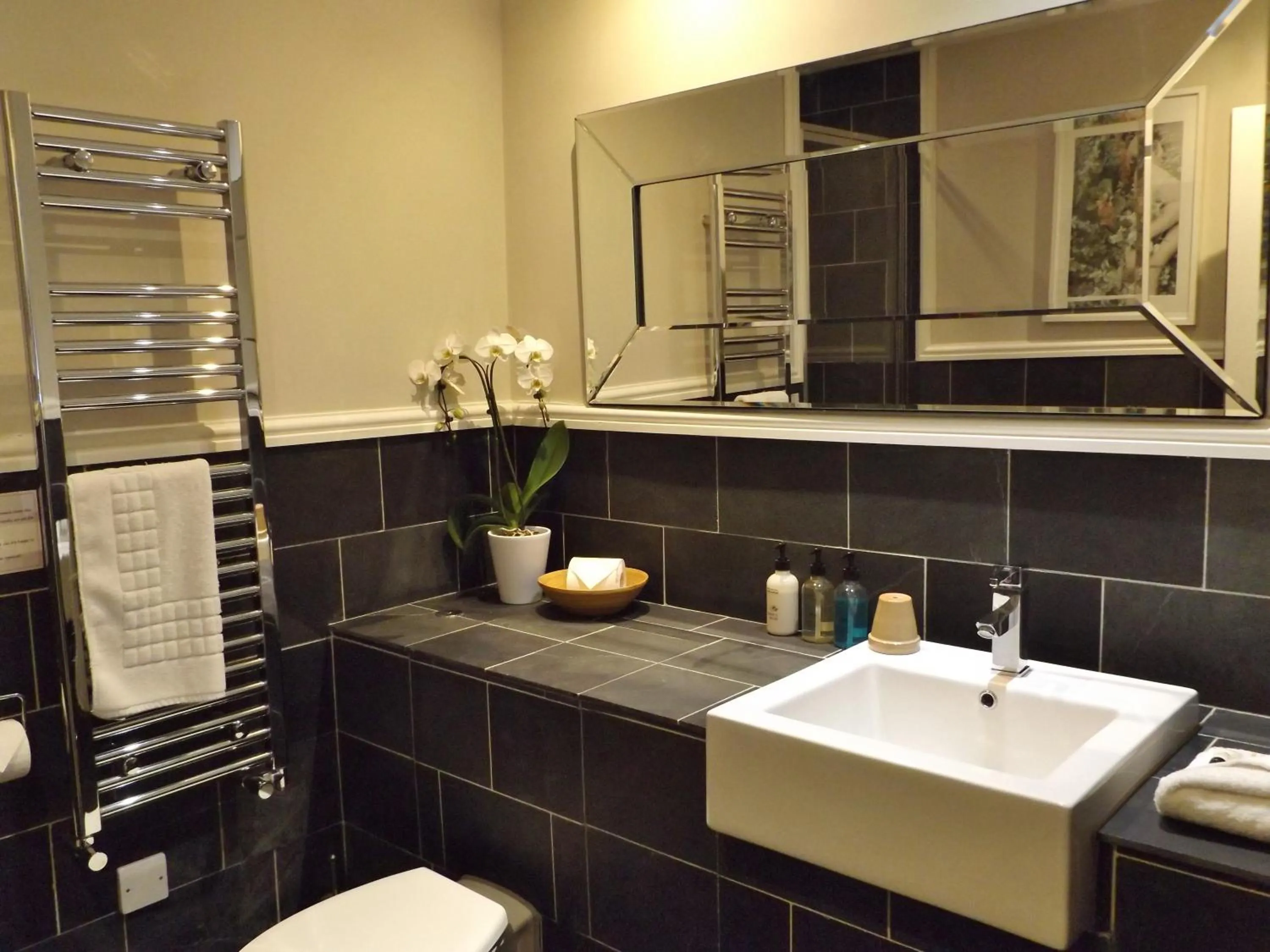 Bathroom in The Red Lion