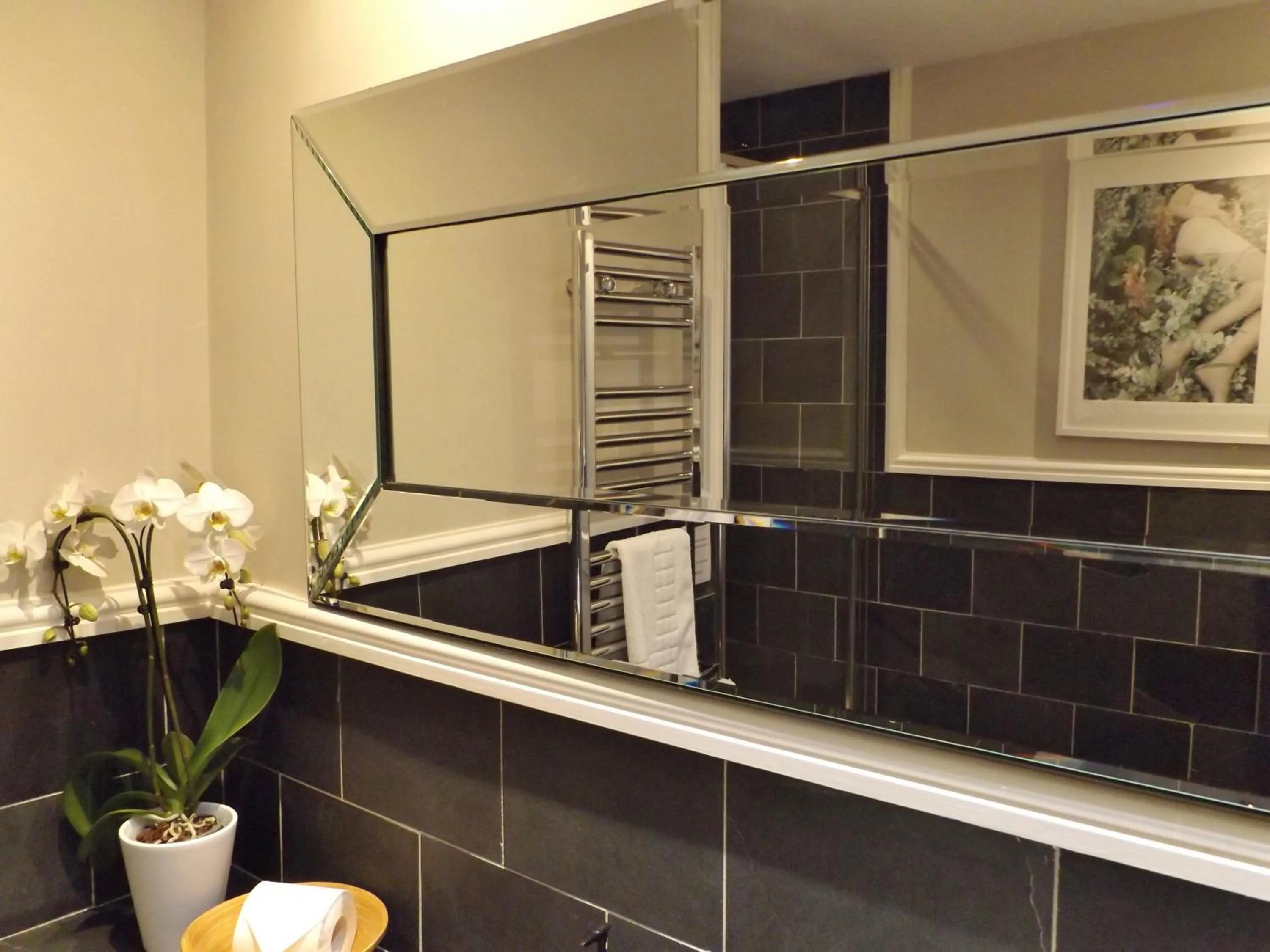 Bathroom in The Red Lion