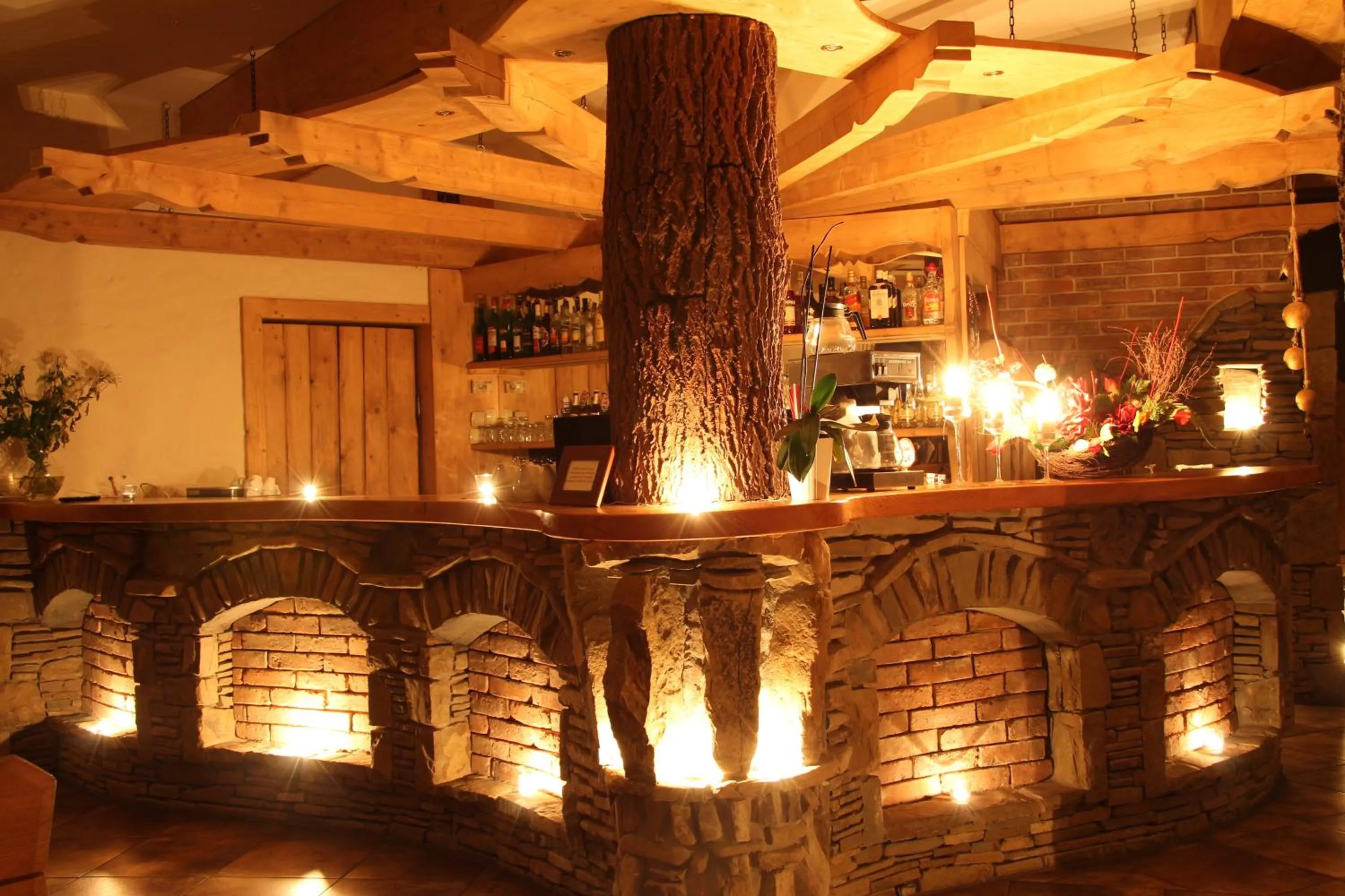 Lounge or bar in Willa Borowianka