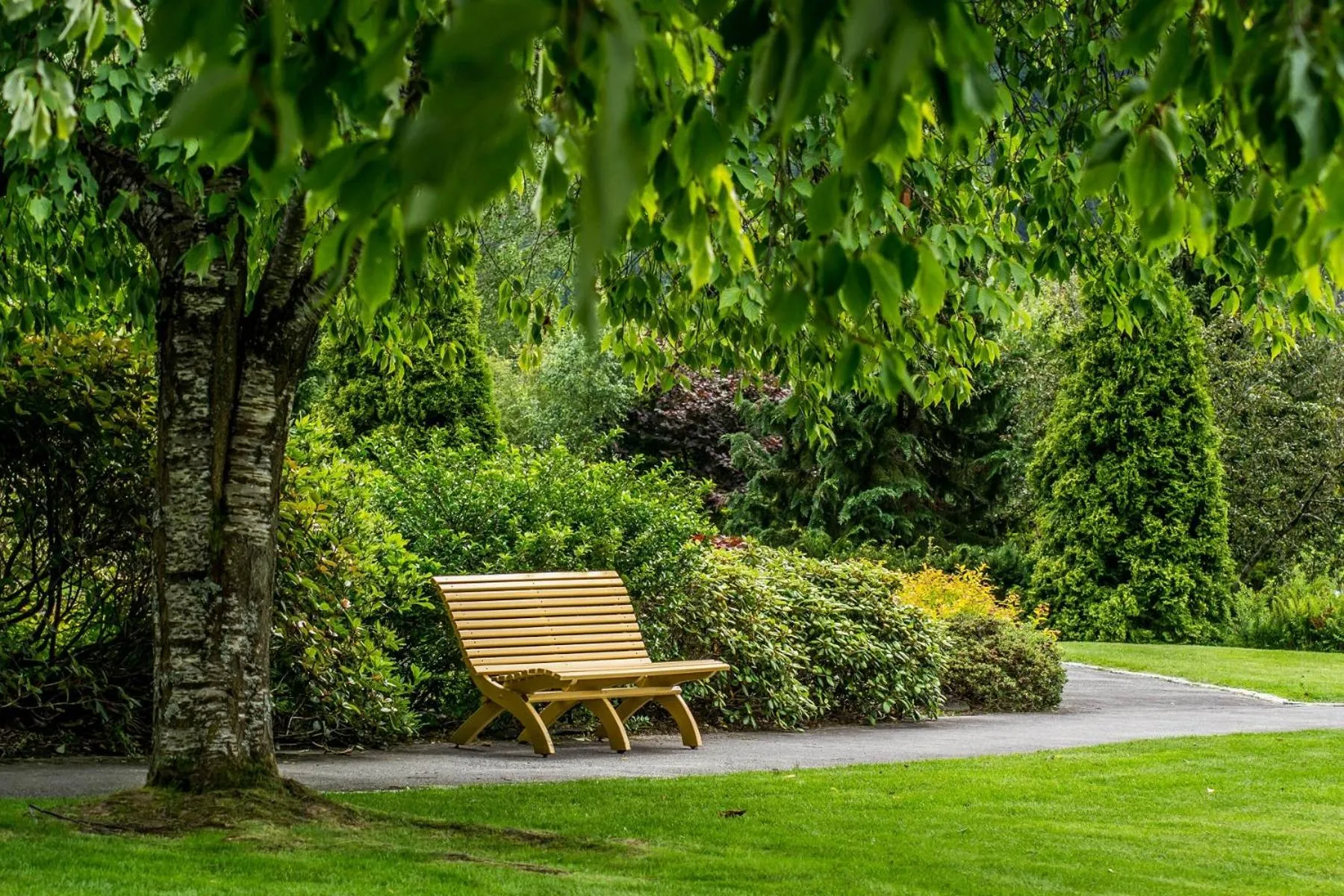 Patio in Hotel Alexandra Loen